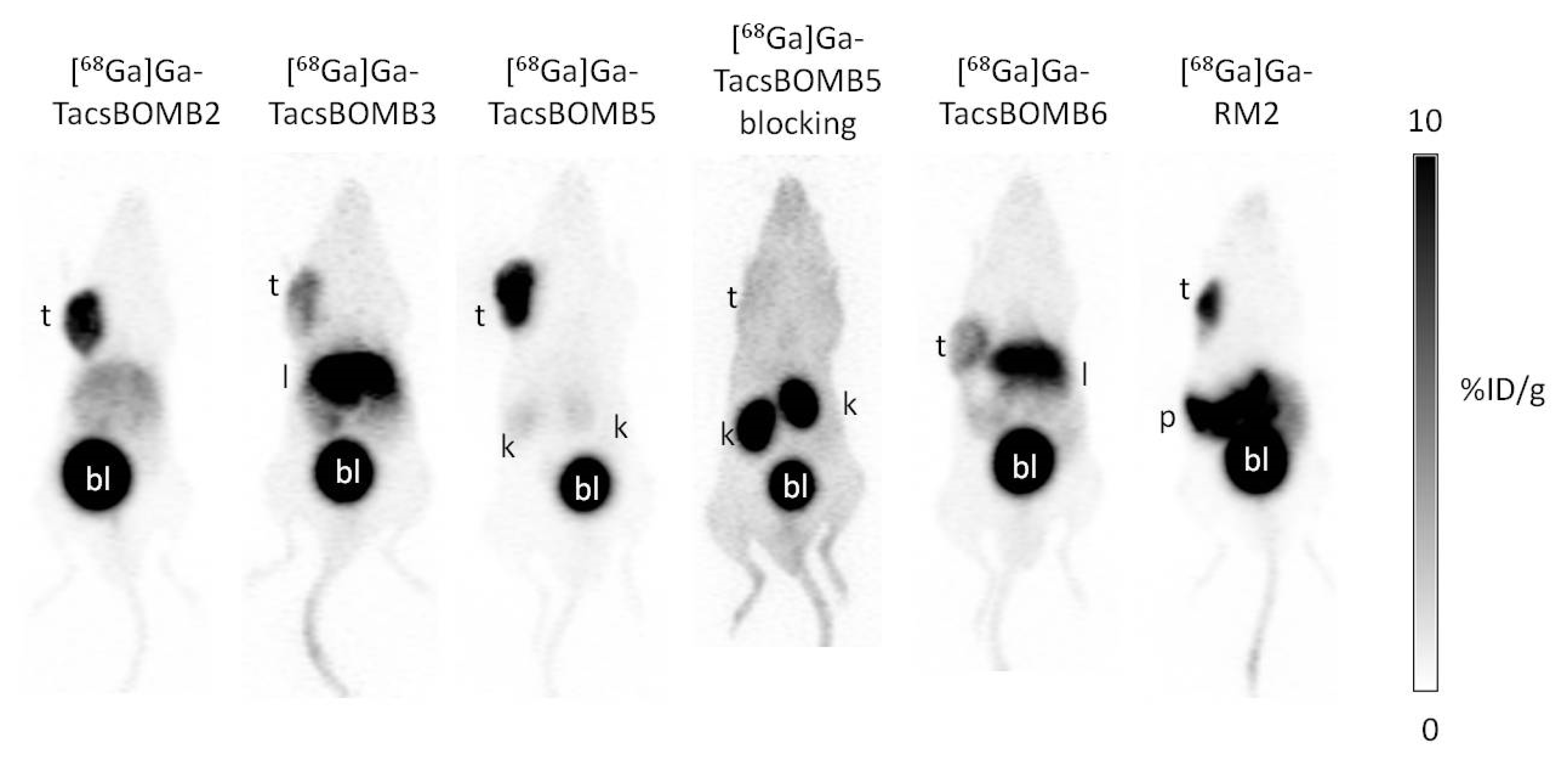 Molecules 27 03777 g004