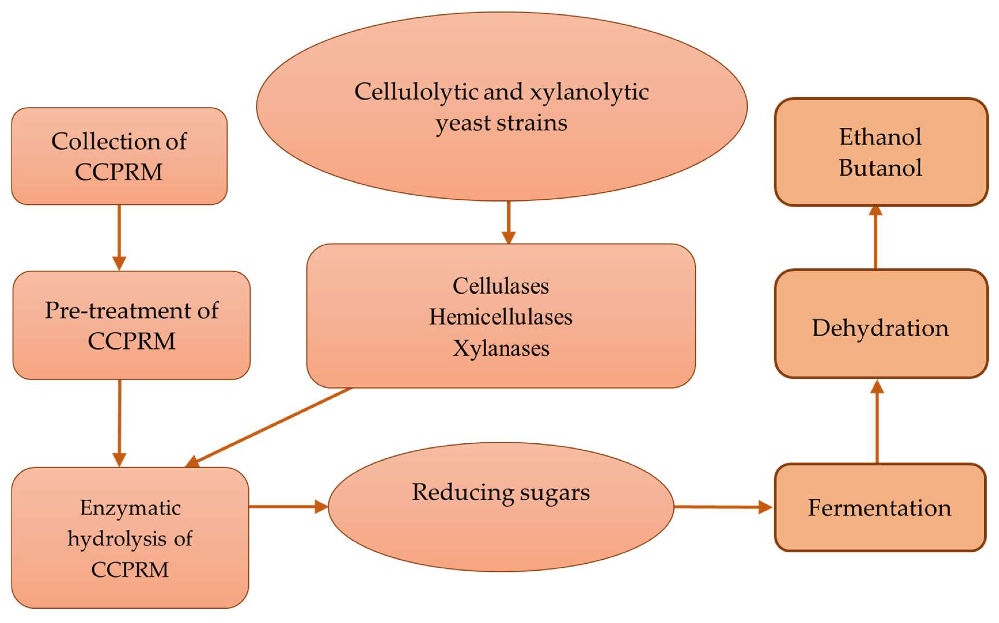 Molecules Free Full Text Cellulolytic And Xylanolytic Enzymes From Yeasts Properties And Industrial Applications Html