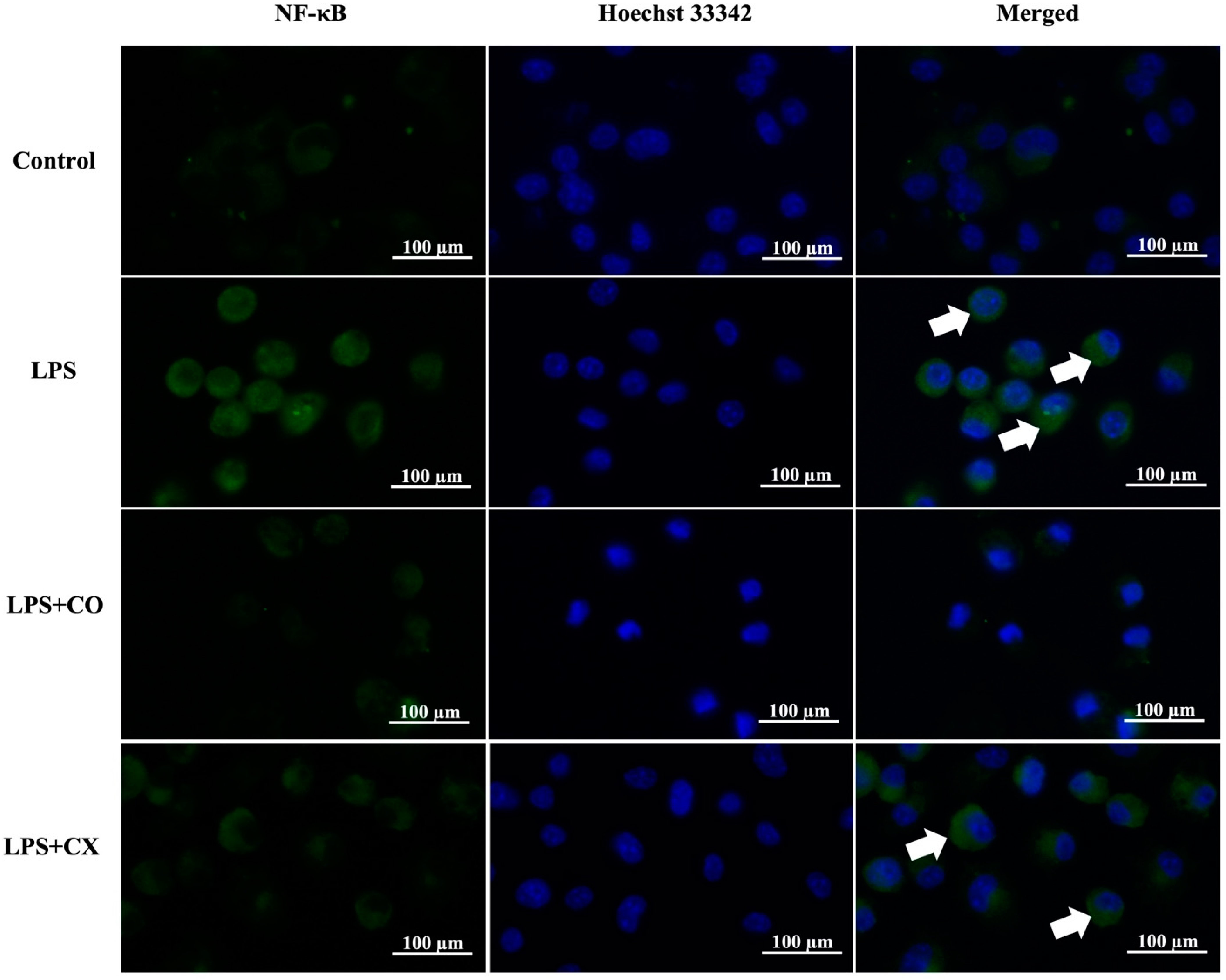 Molecules 27 03784 g004