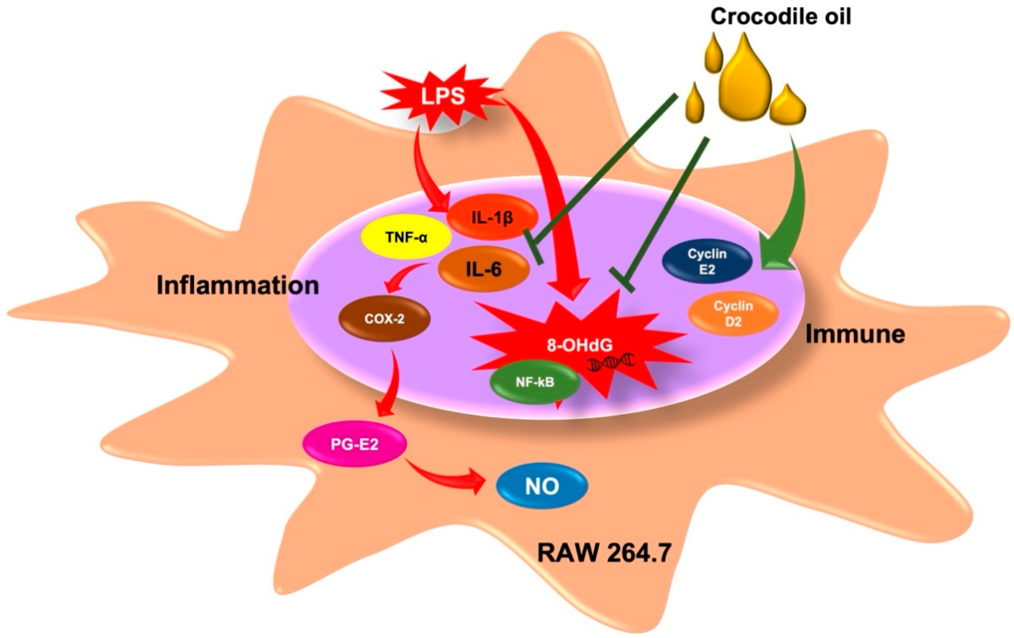 Molecules 27 03784 g007