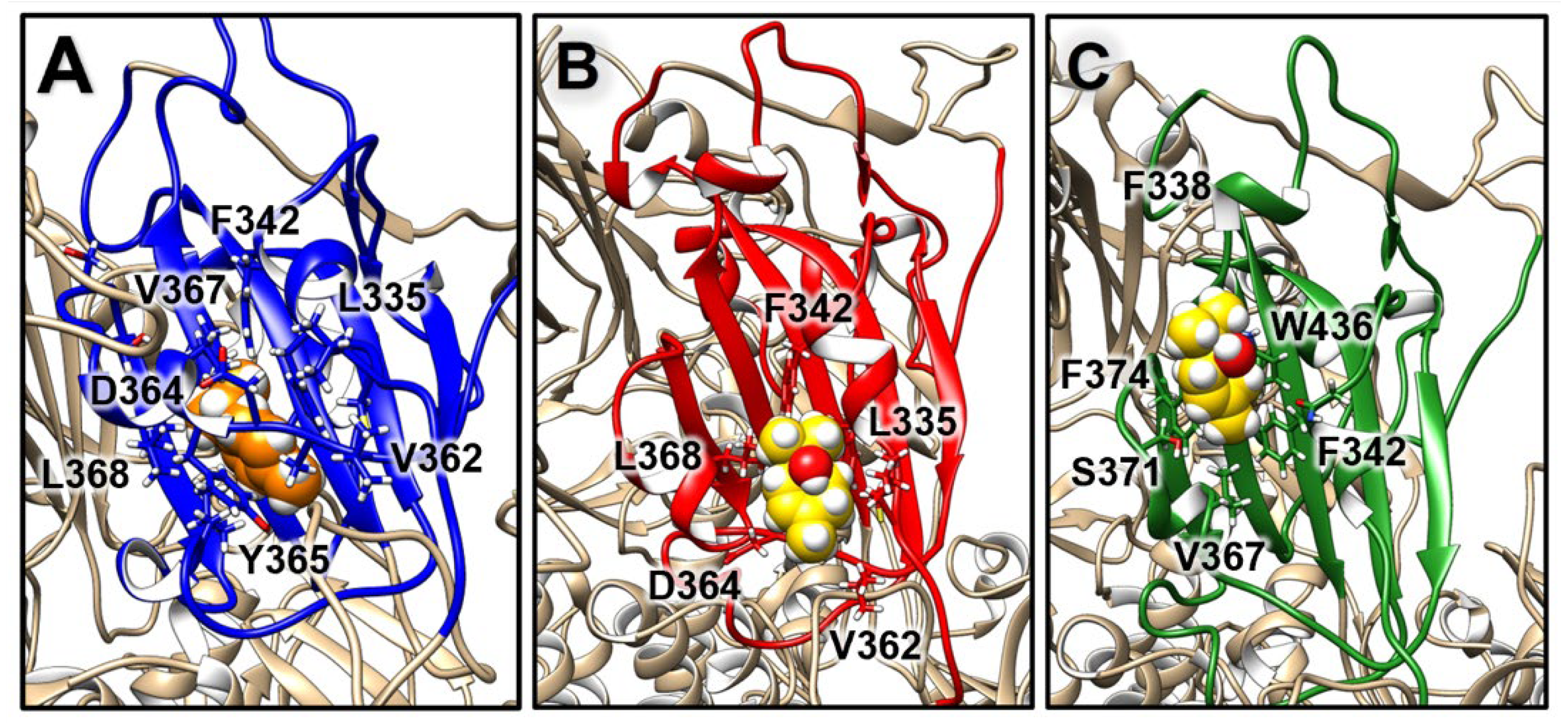 Molecules 27 03786 g005
