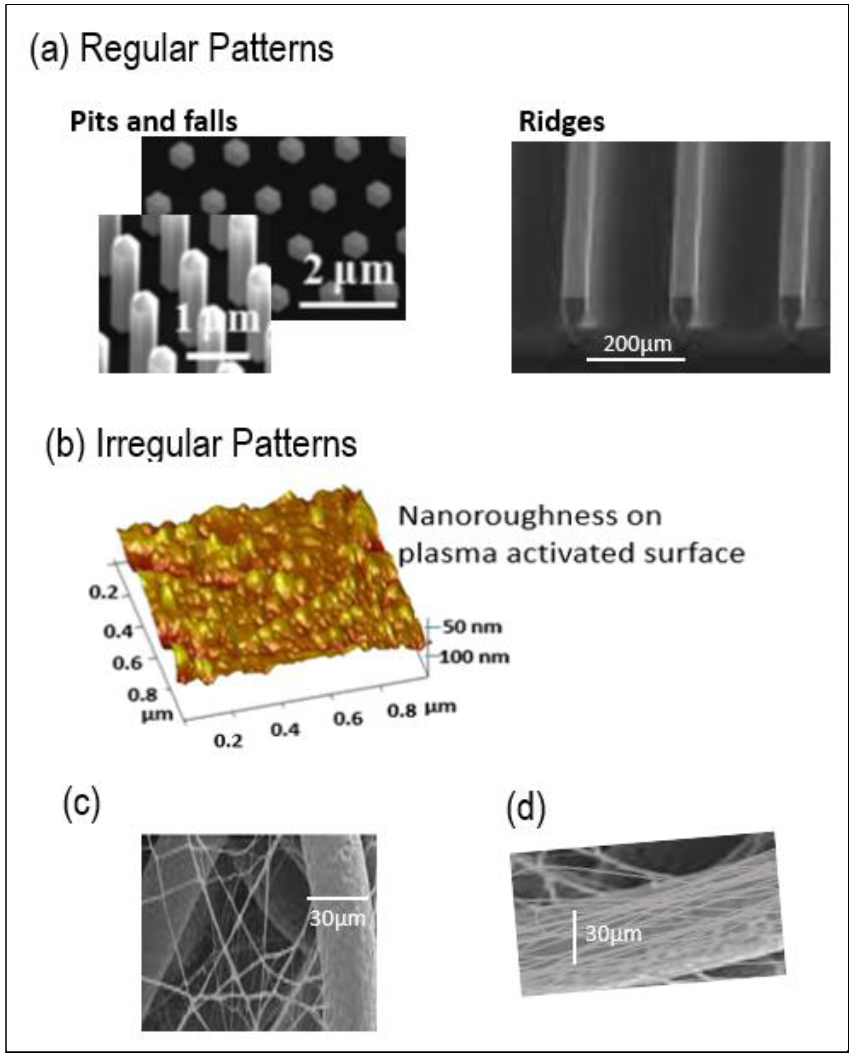 Molecules 27 03790 g001 550