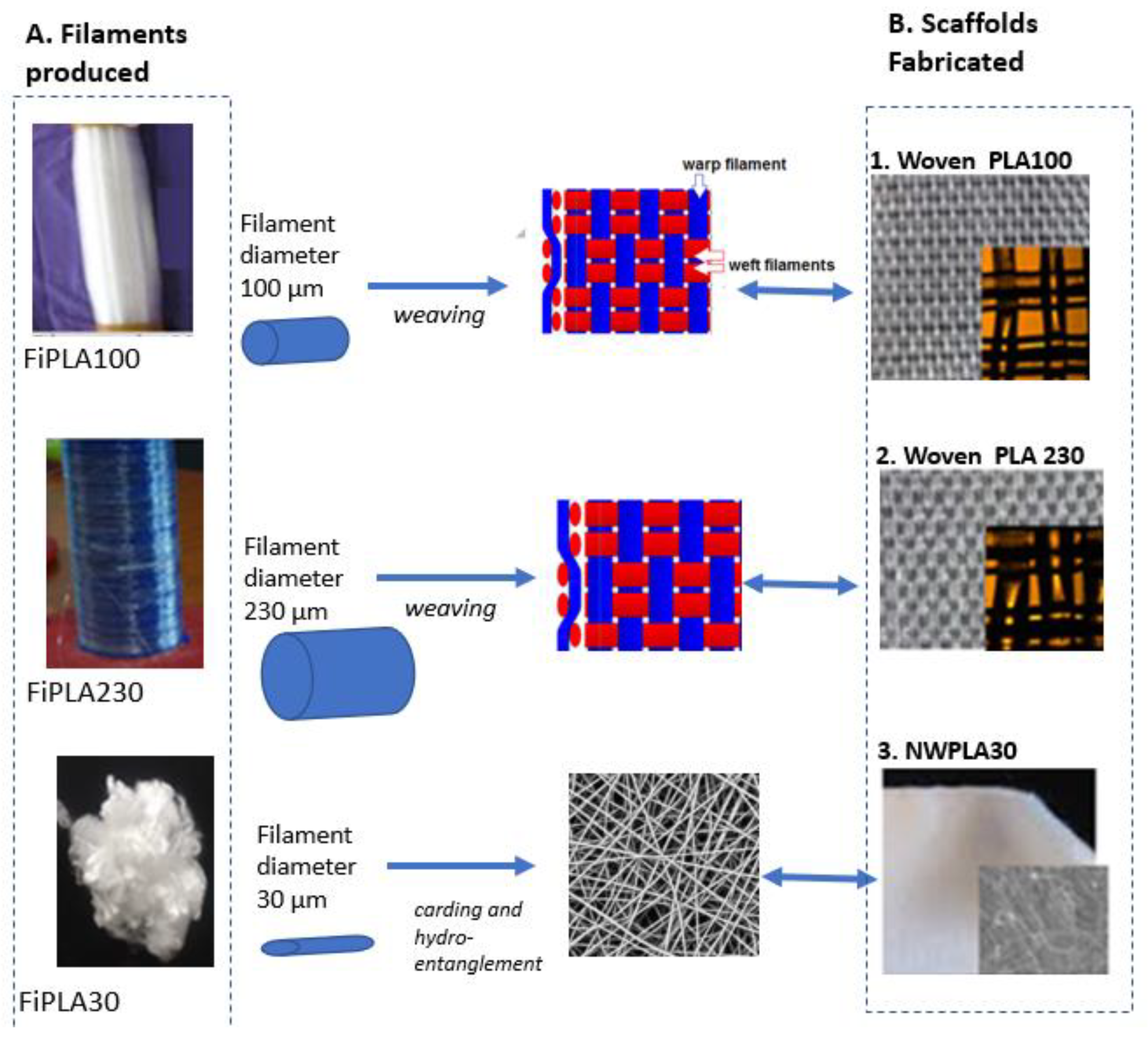 Molecules 27 03790 g003 550