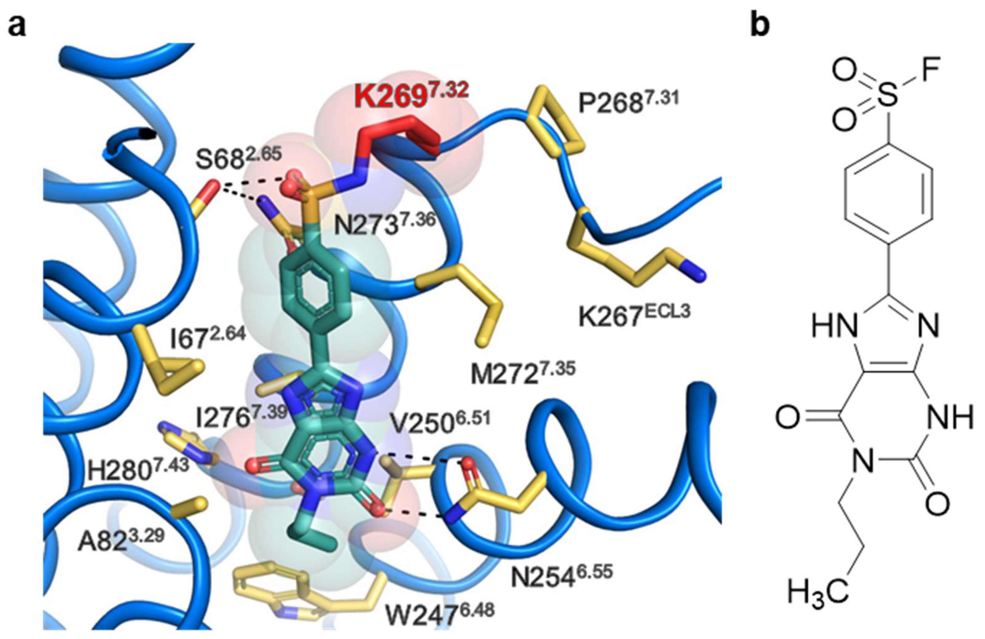 Molecules 27 03792 g005 550