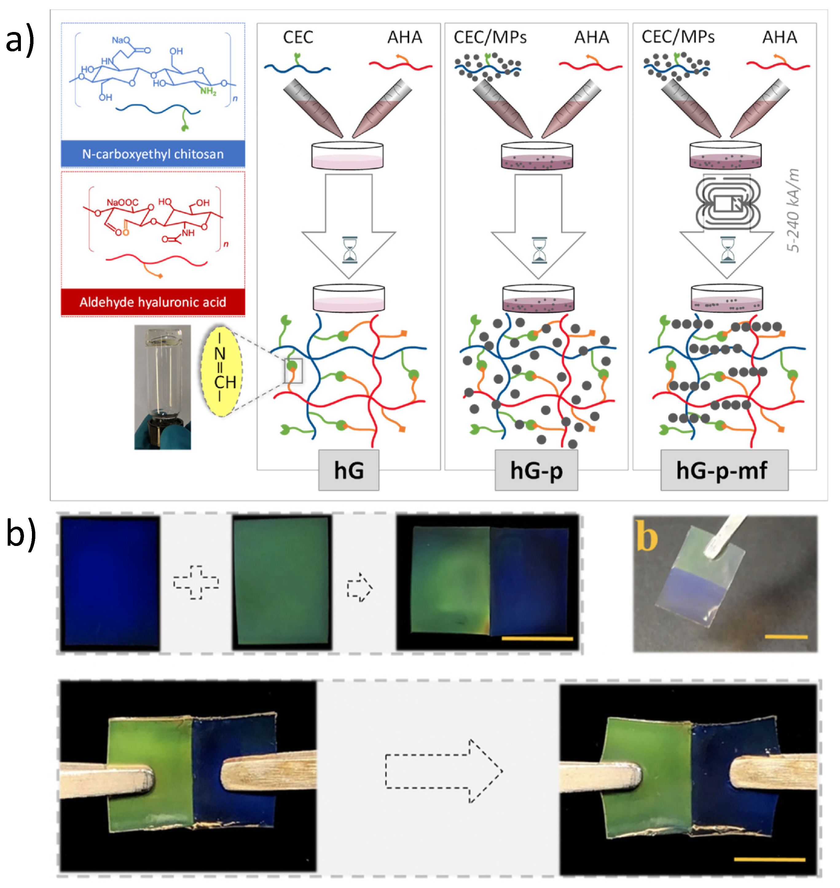 Molecules 27 03796 g008 550