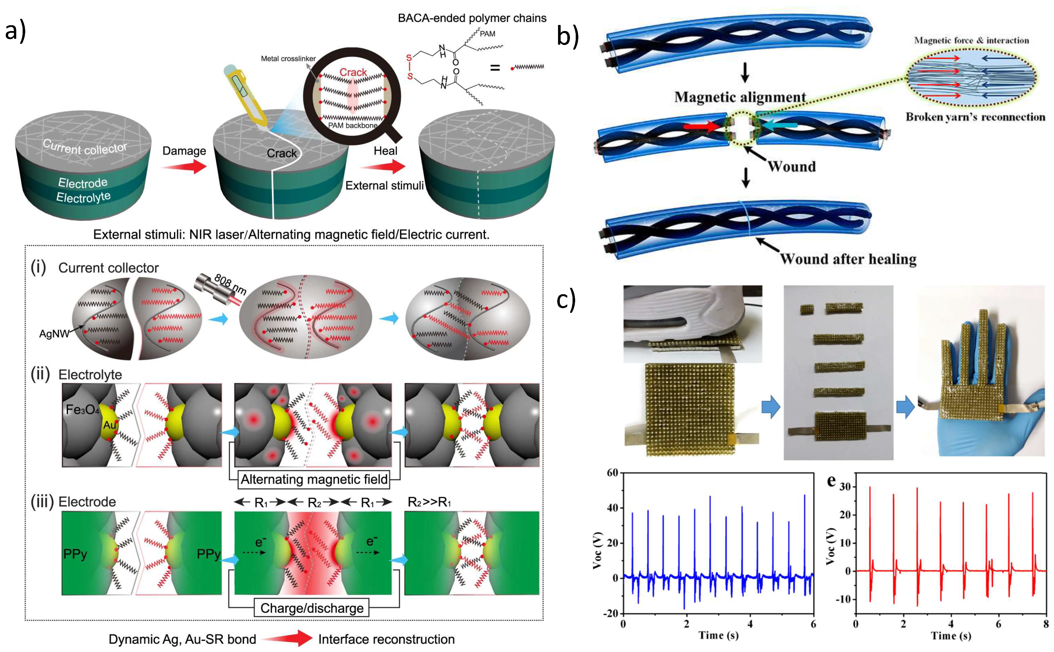 Molecules 27 03796 g009 550