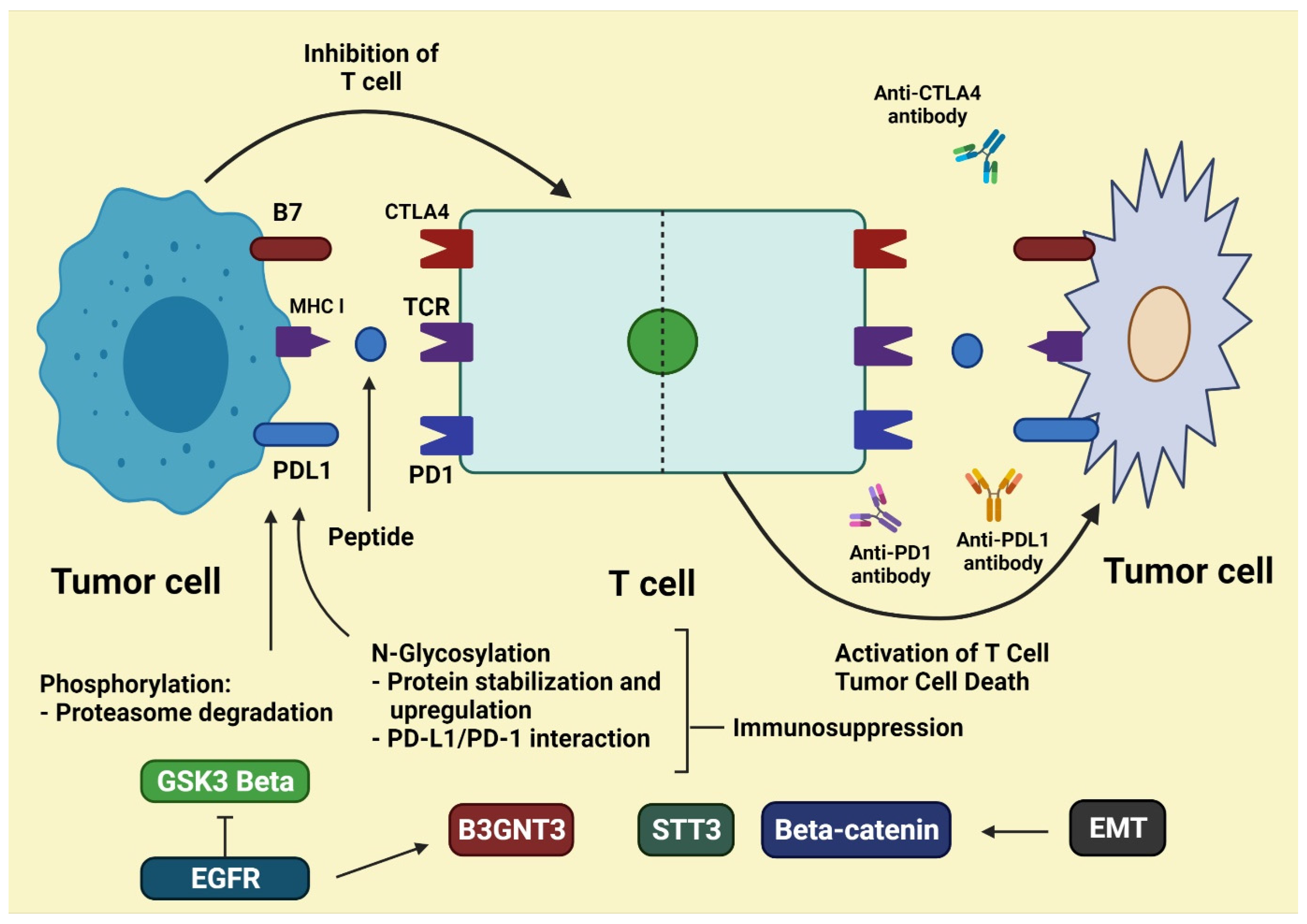 Molecules 27 03798 g001 550