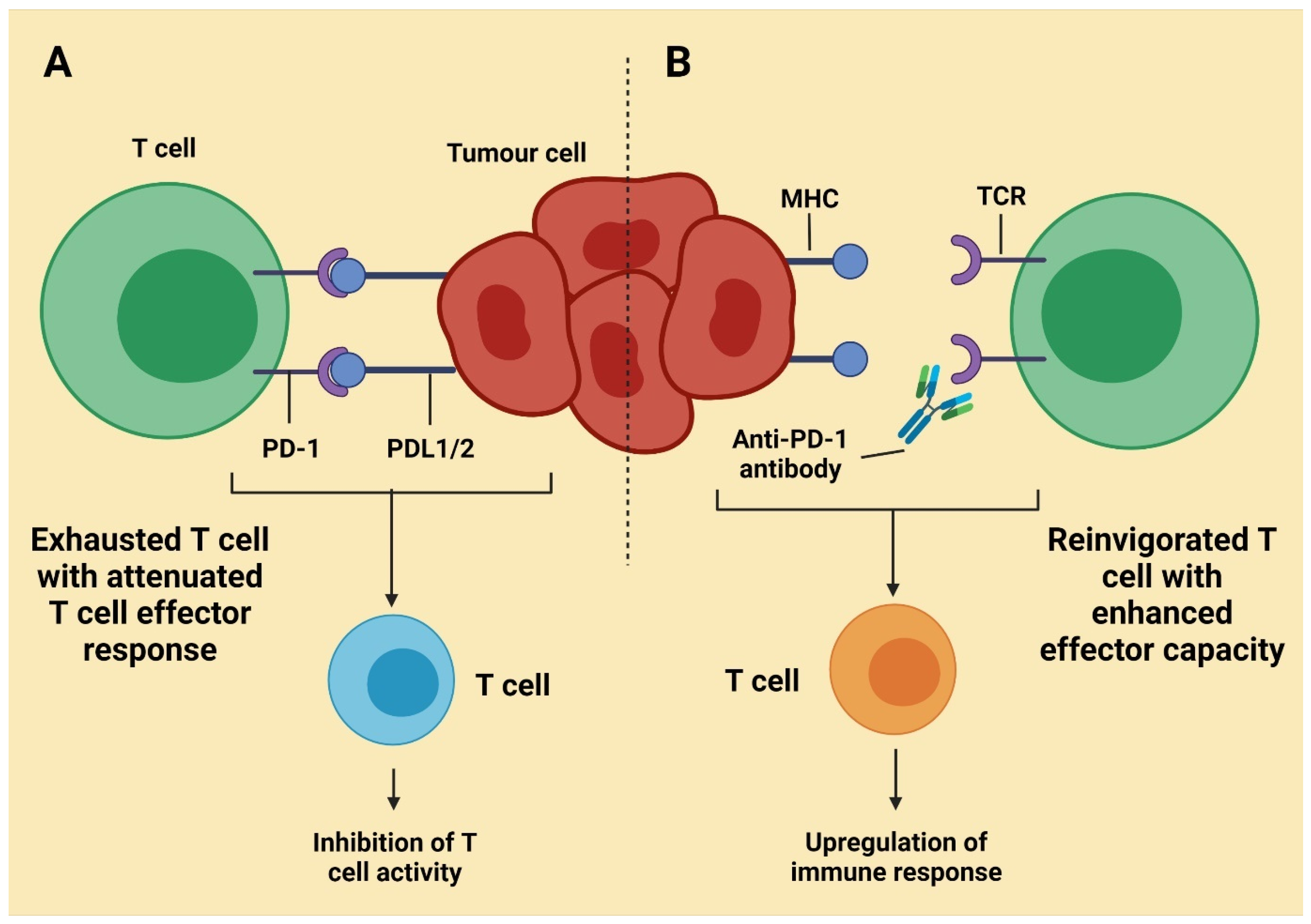 Molecules 27 03798 g003 550