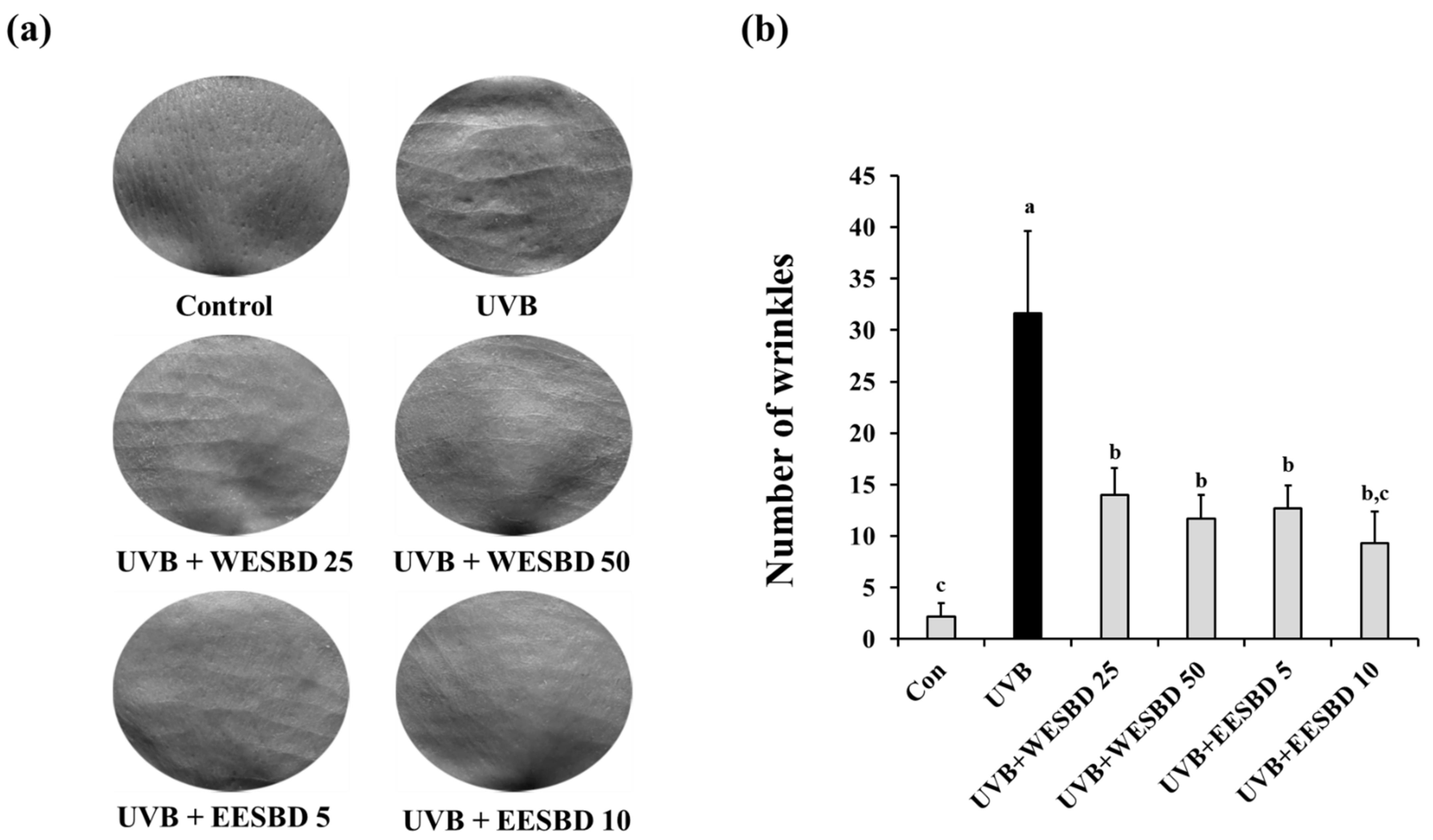 Molecules 27 03803 g003 550