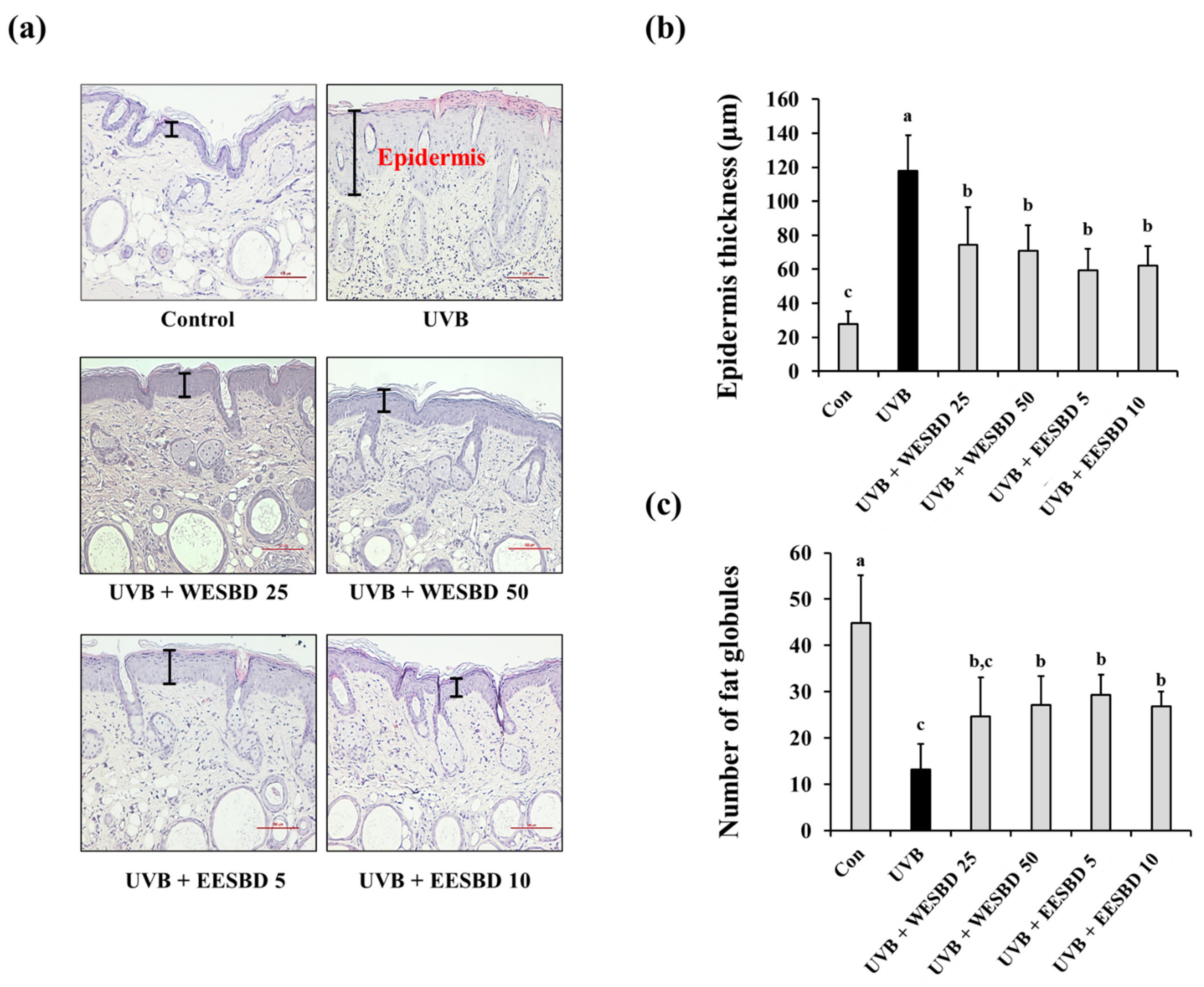 Molecules 27 03803 g004 550