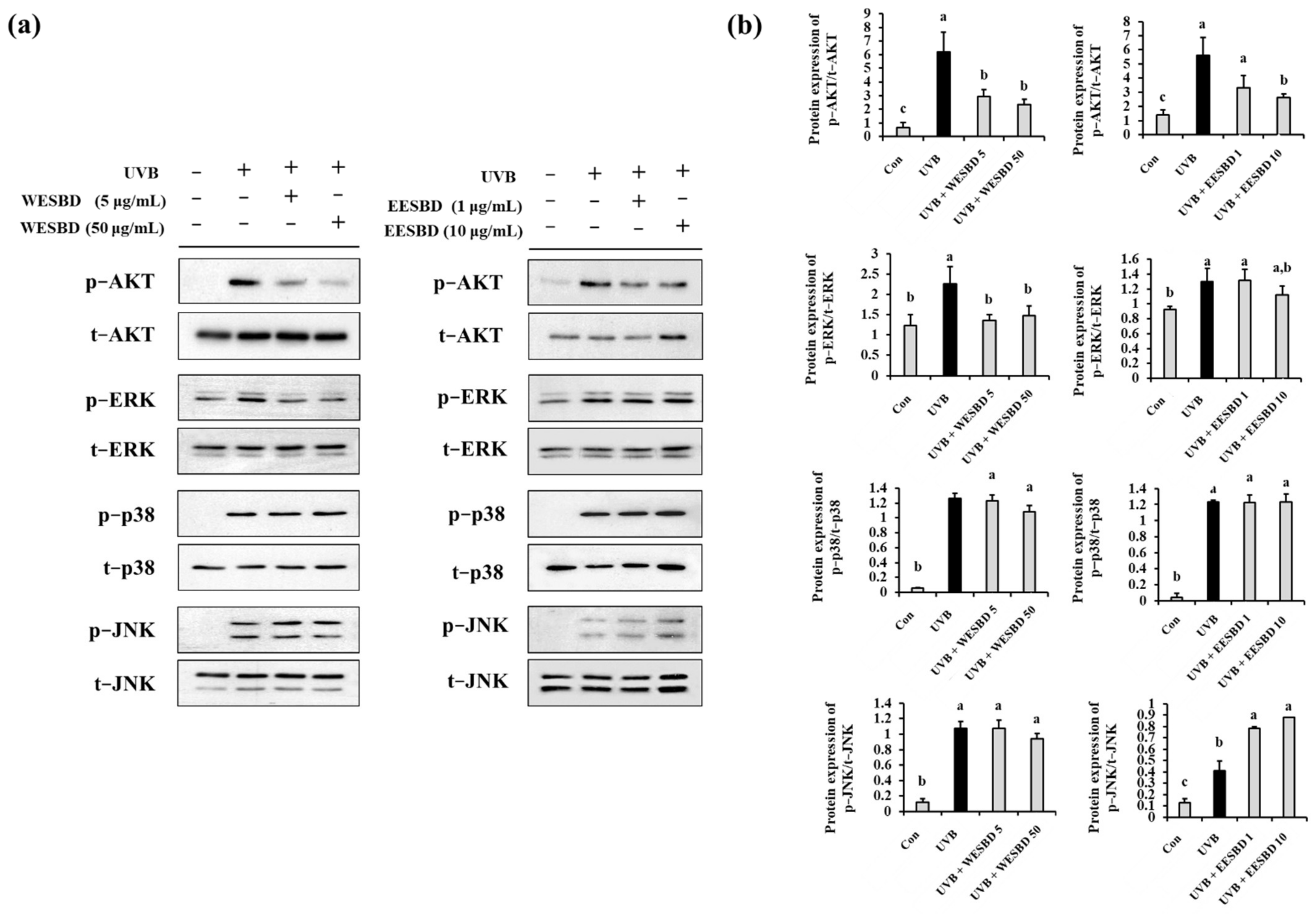 Molecules 27 03803 g006 550