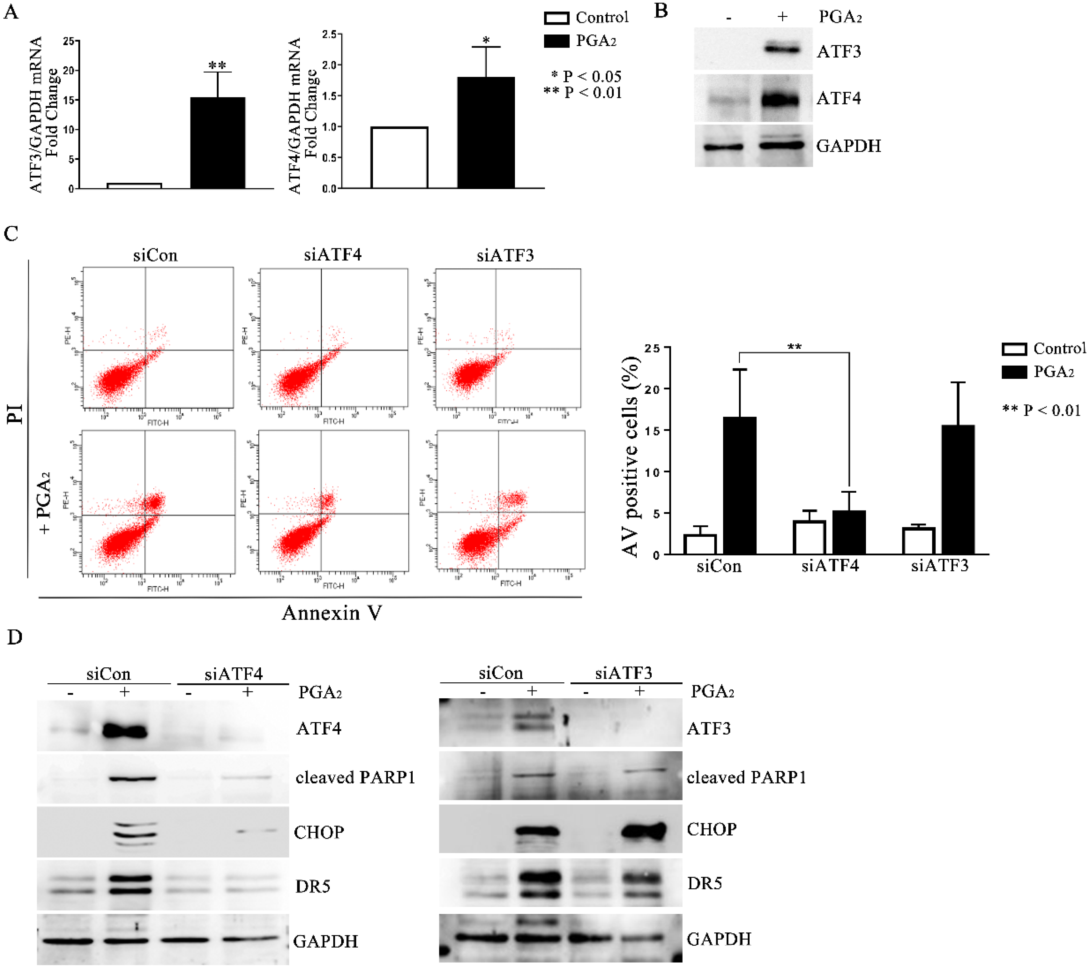 Molecules 27 03804 g004