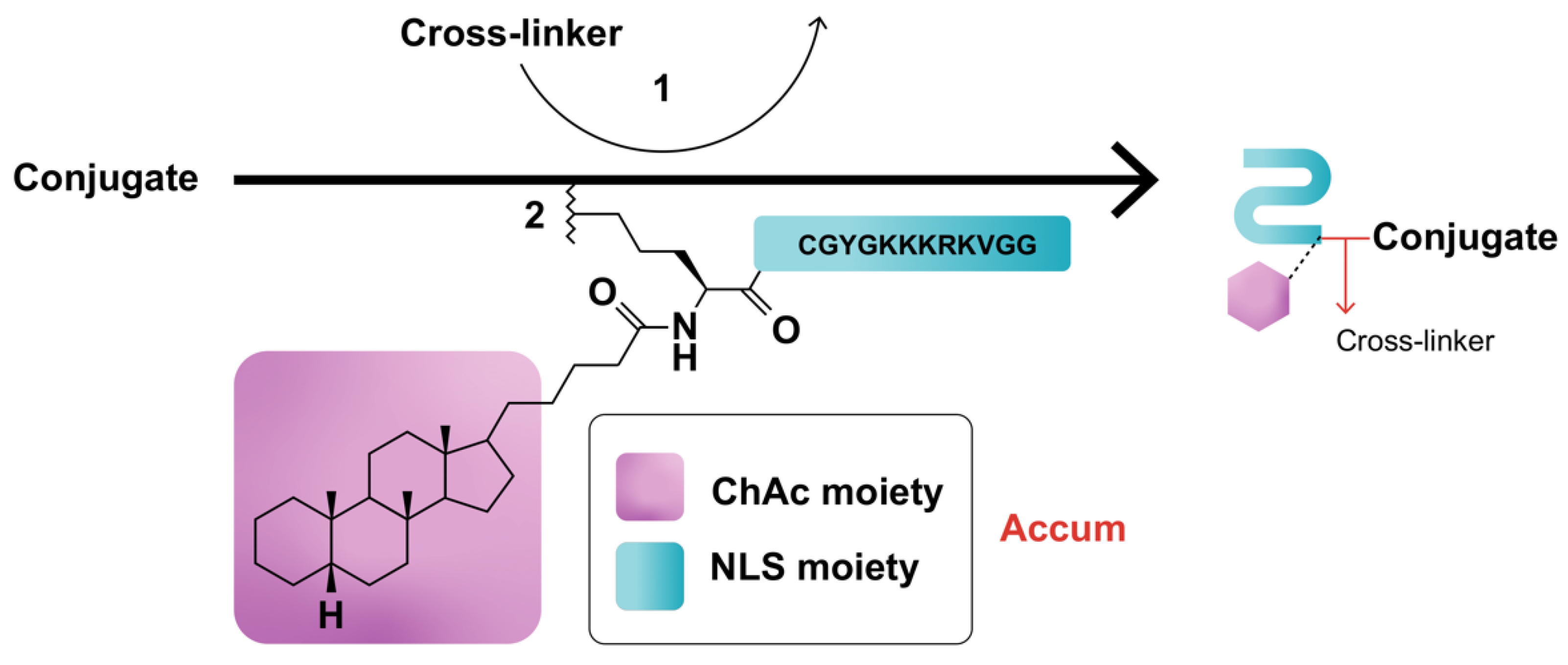 Molecules 27 03807 g001 550