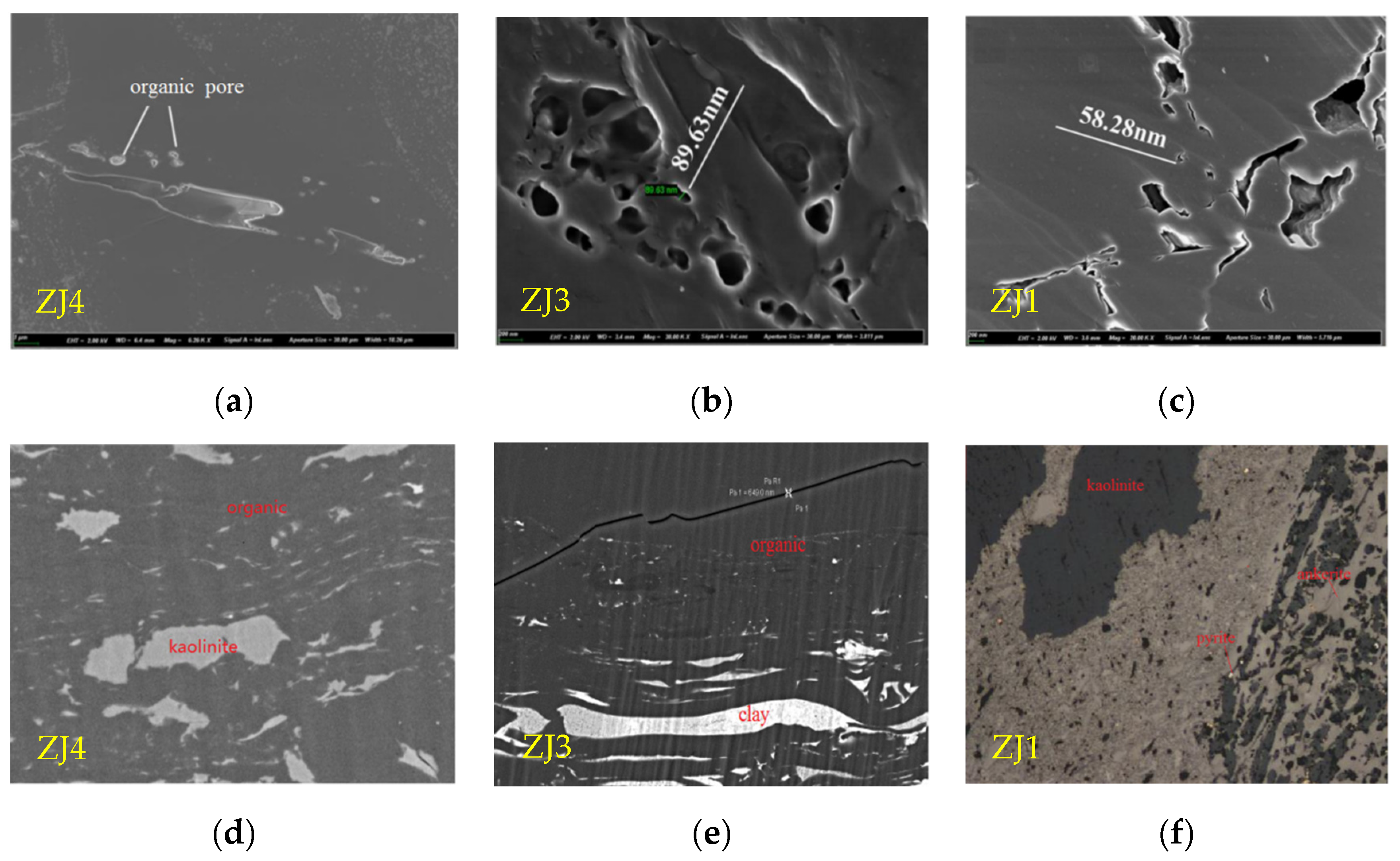 Molecules 27 03810 g004