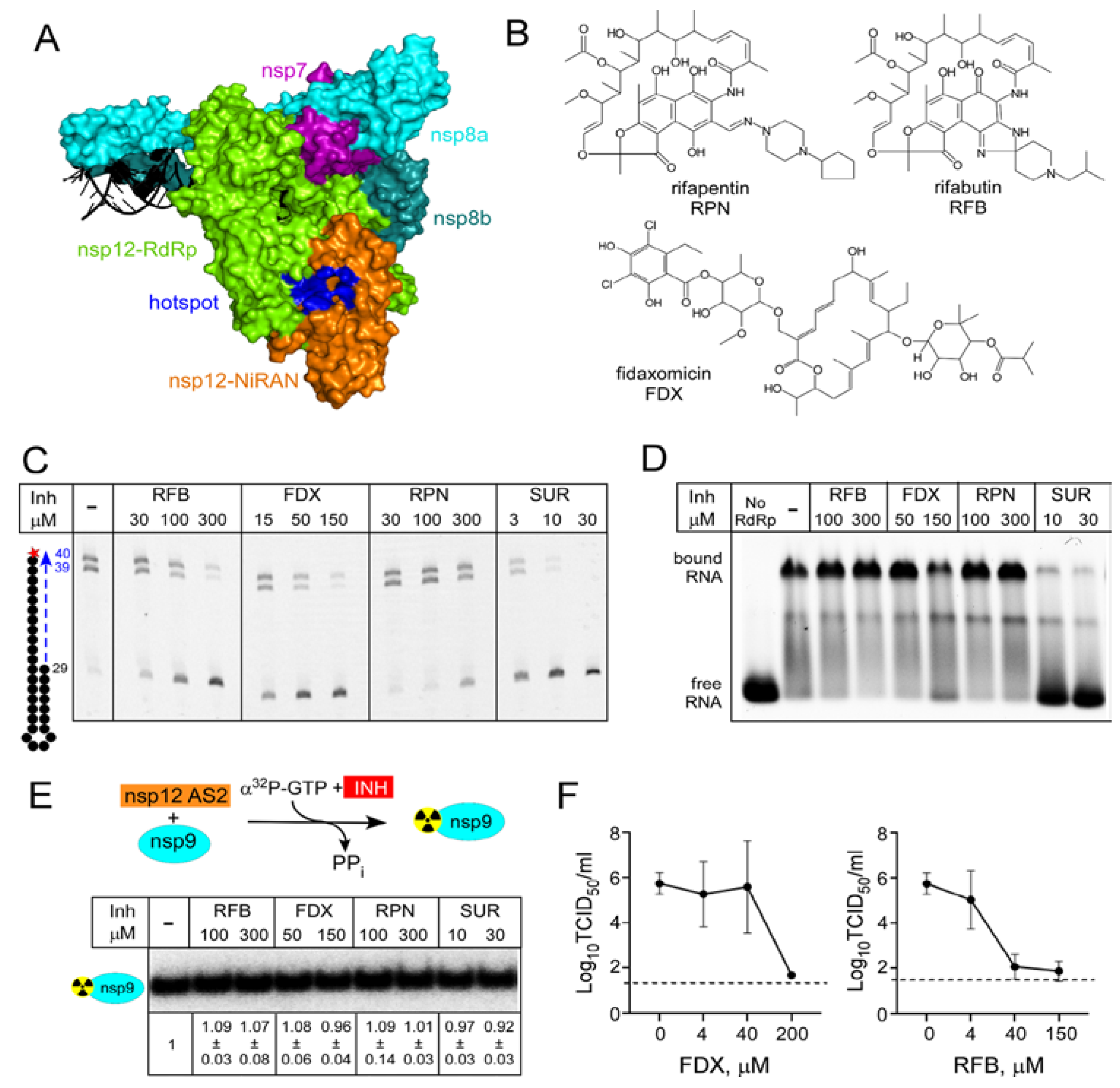 Molecules 27 03815 g004 550