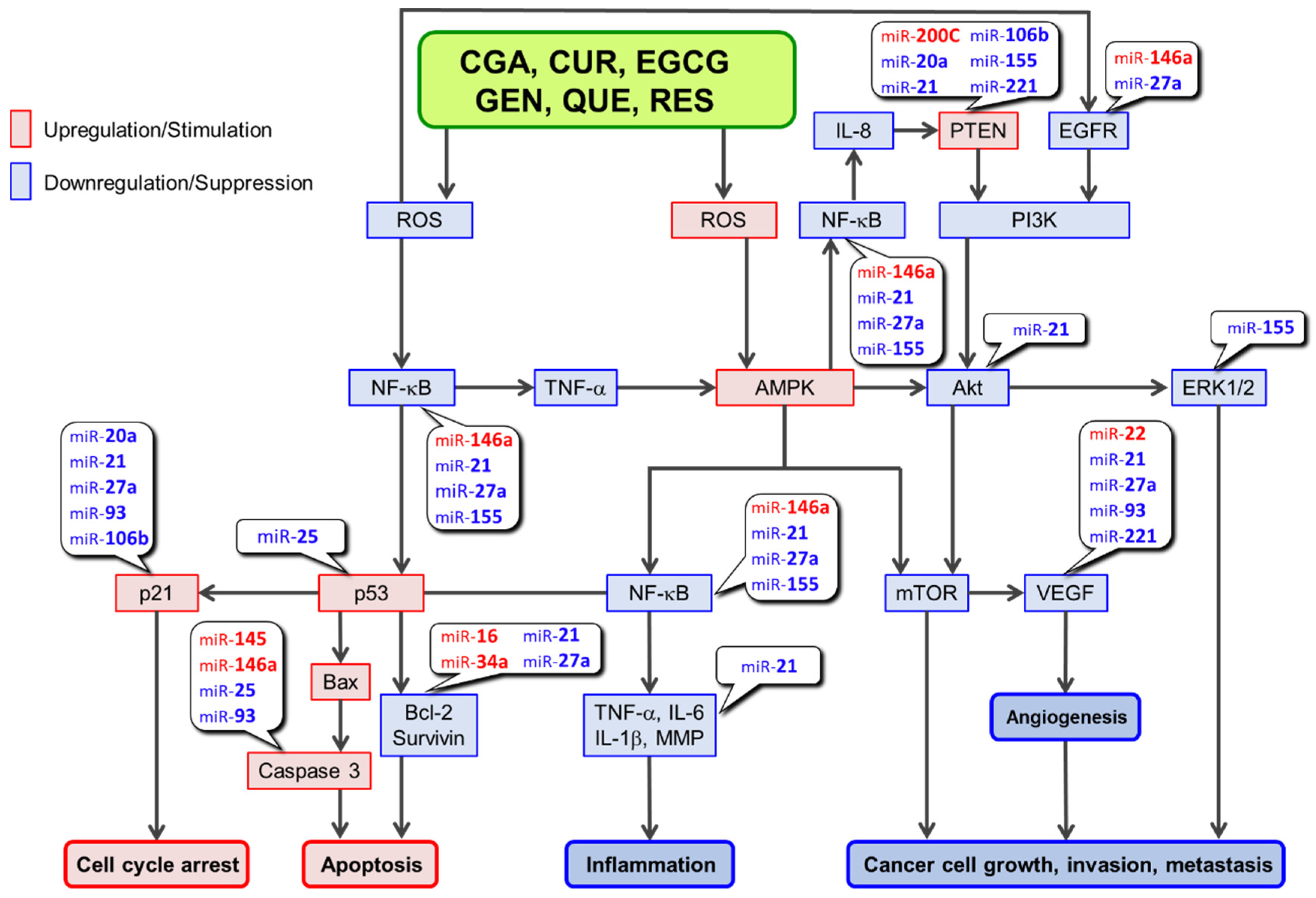 Molecules 27 03816 g002