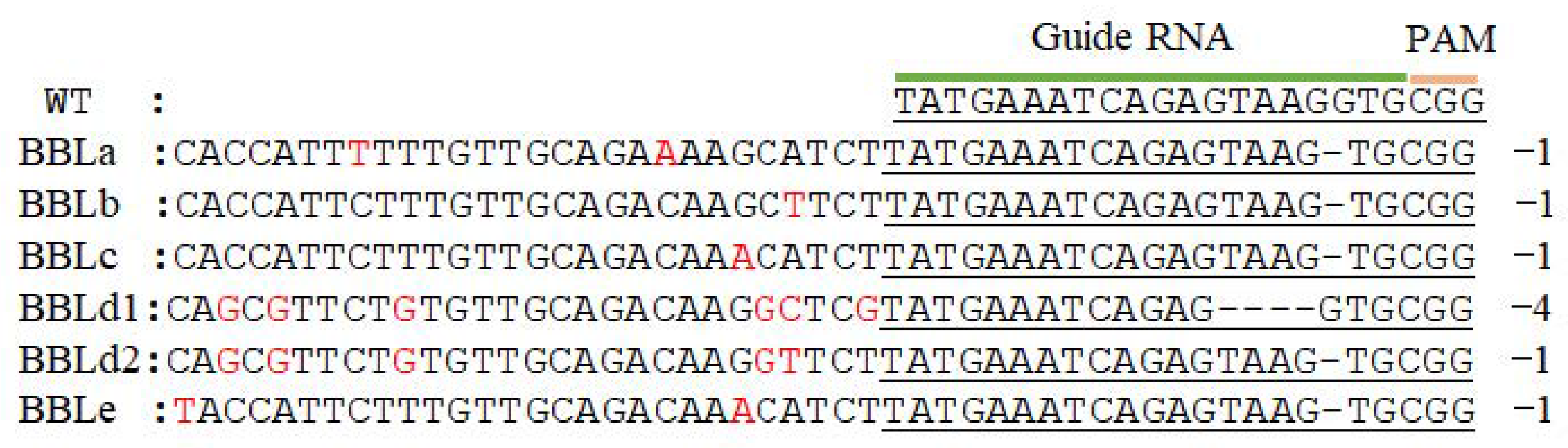 Molecules 27 03817 g001 550