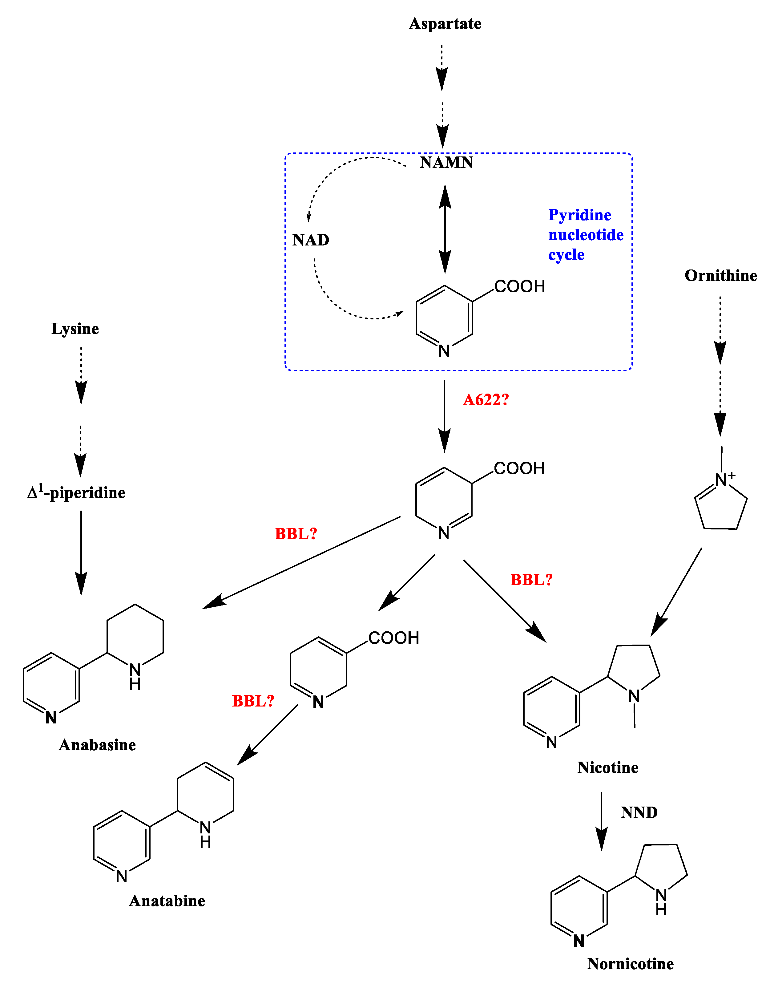 Molecules 27 03817 g002 550