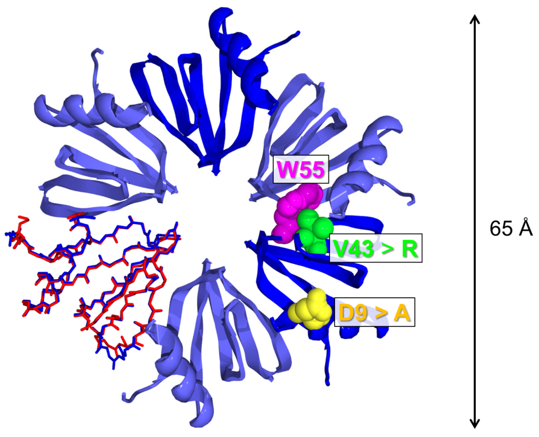 Molecules 27 03821 g001 550