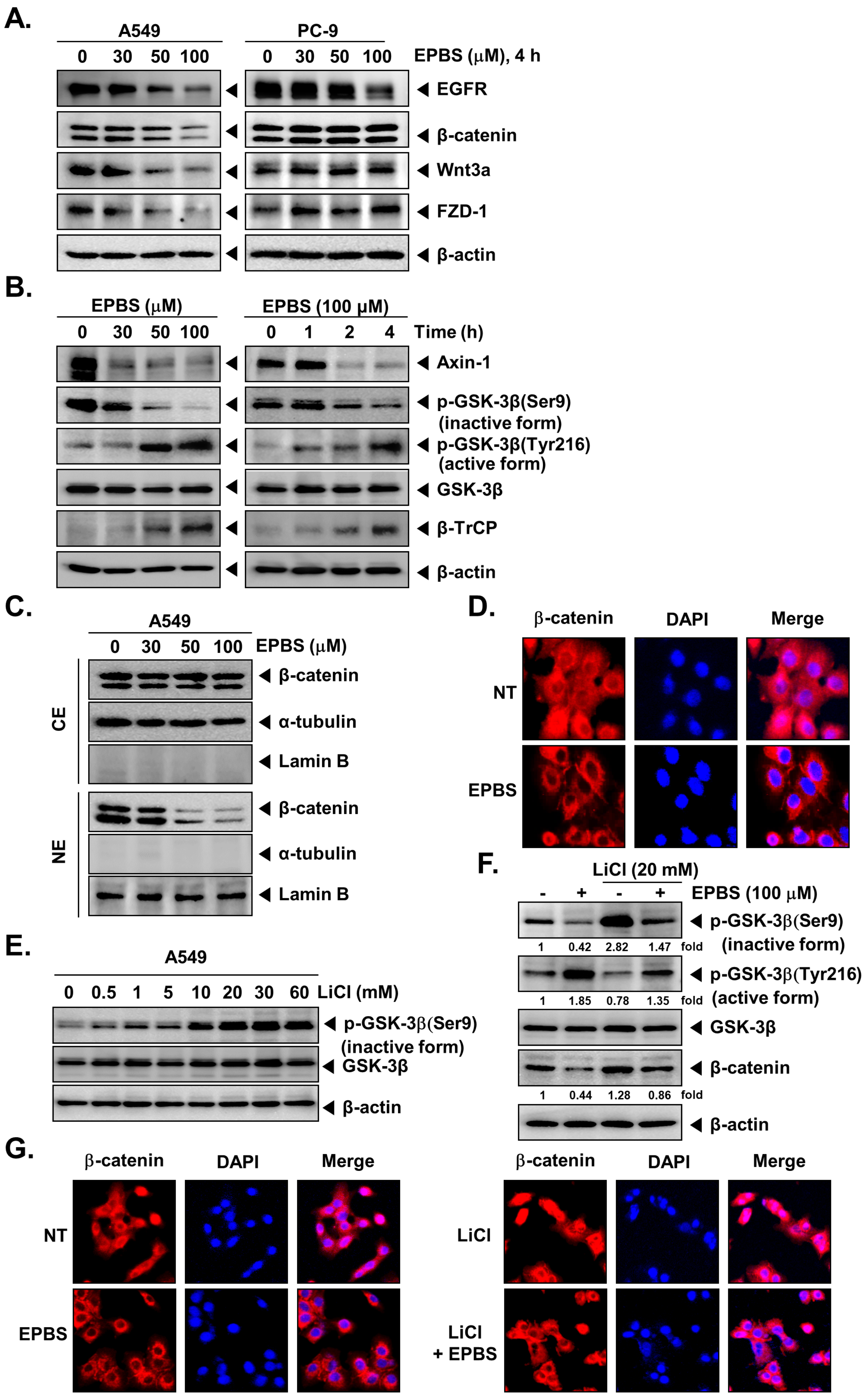 Molecules 27 03824 g002 Molecules 27 03824 g002