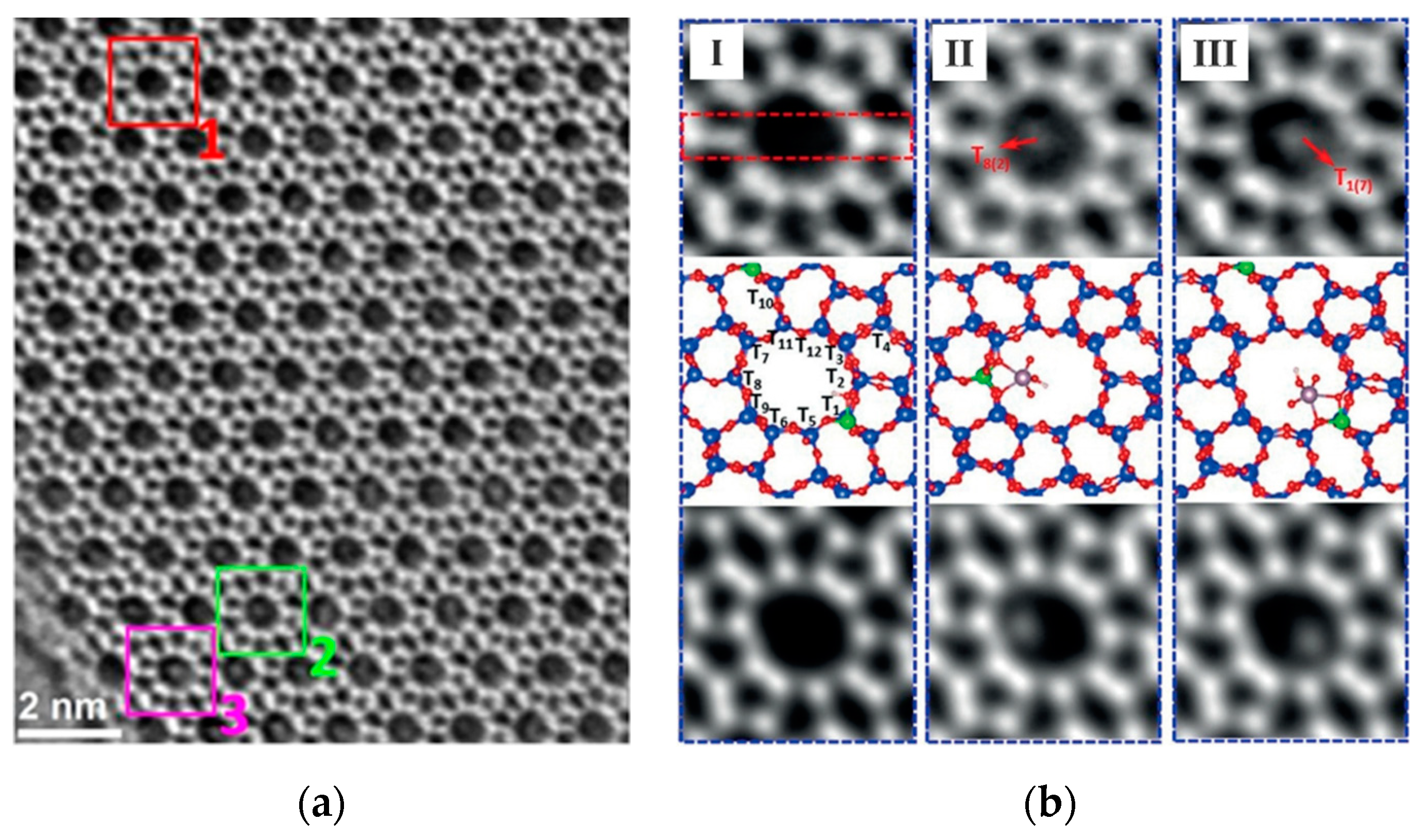Molecules 27 03829 g012 550