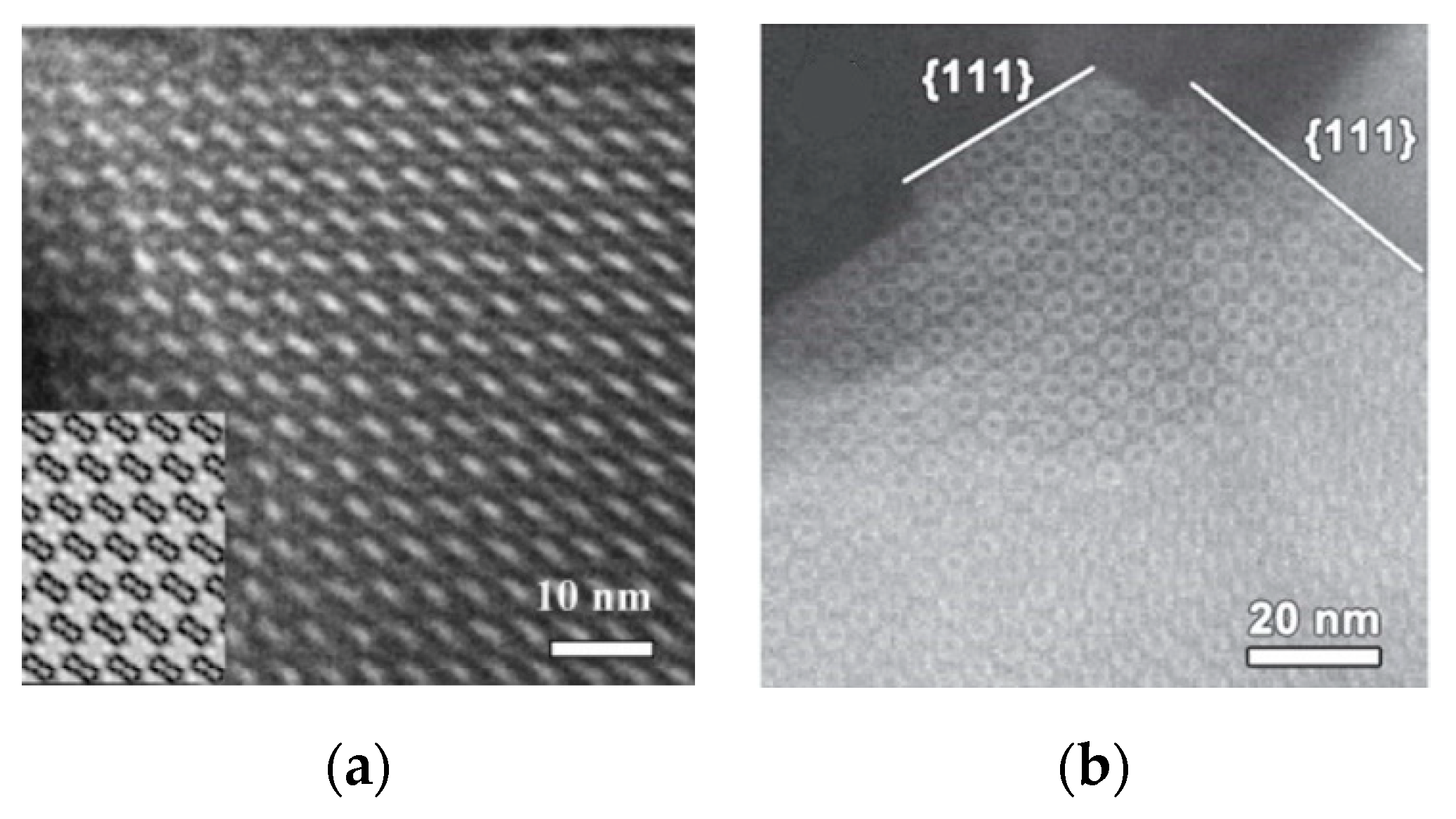 Molecules 27 03829 g016a 550