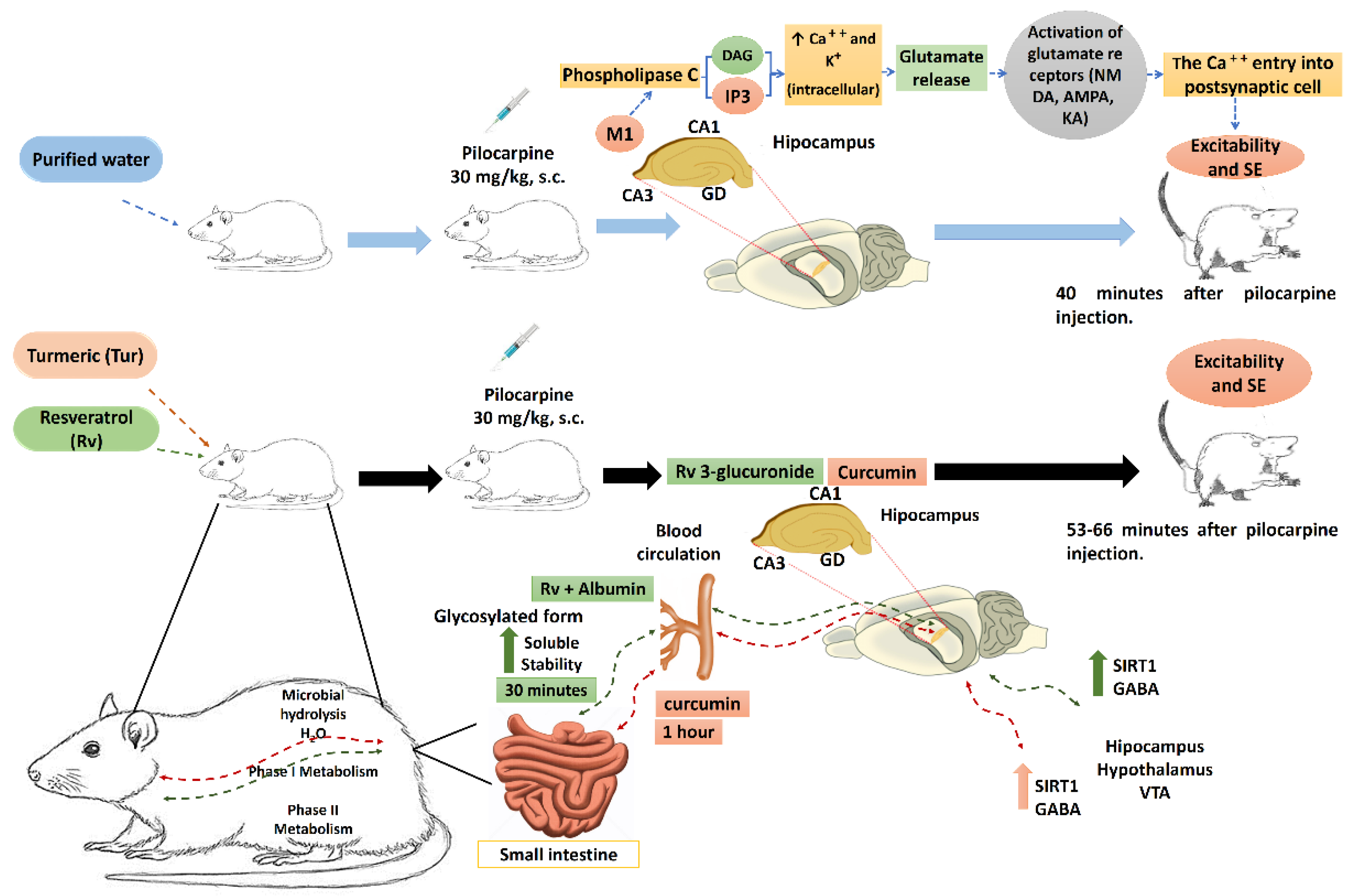 Molecules 27 03835 g005