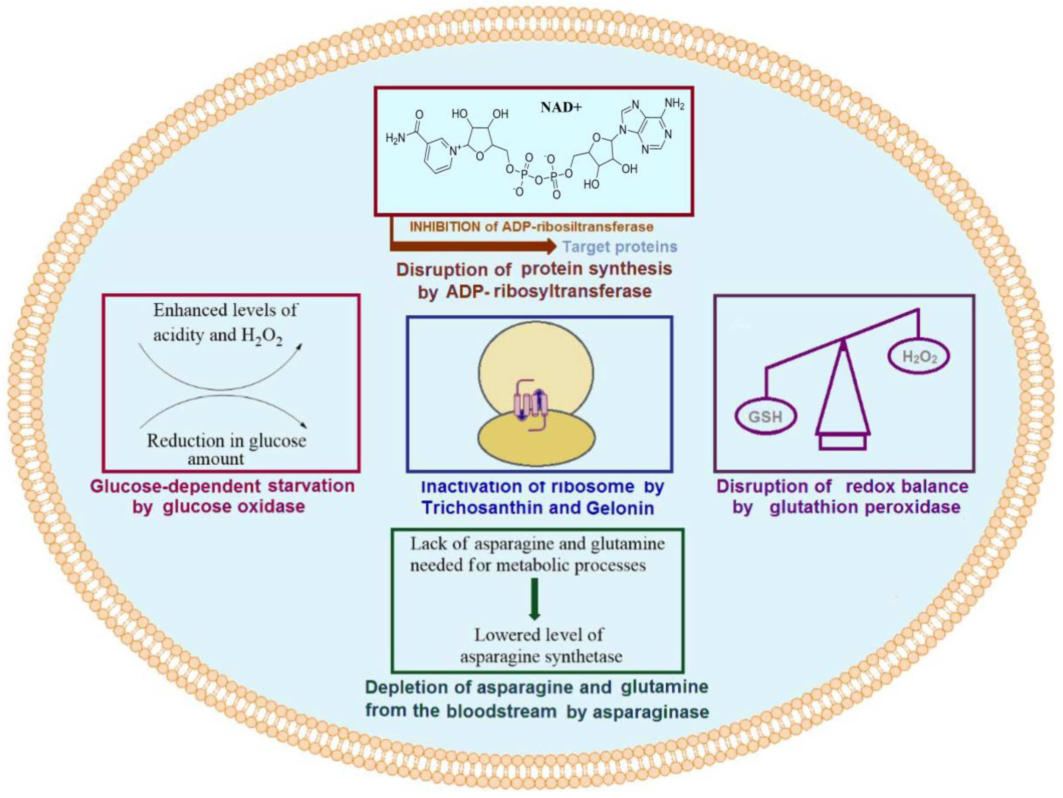 Molecules 27 03836 g001 Molecules 27 03836 g001