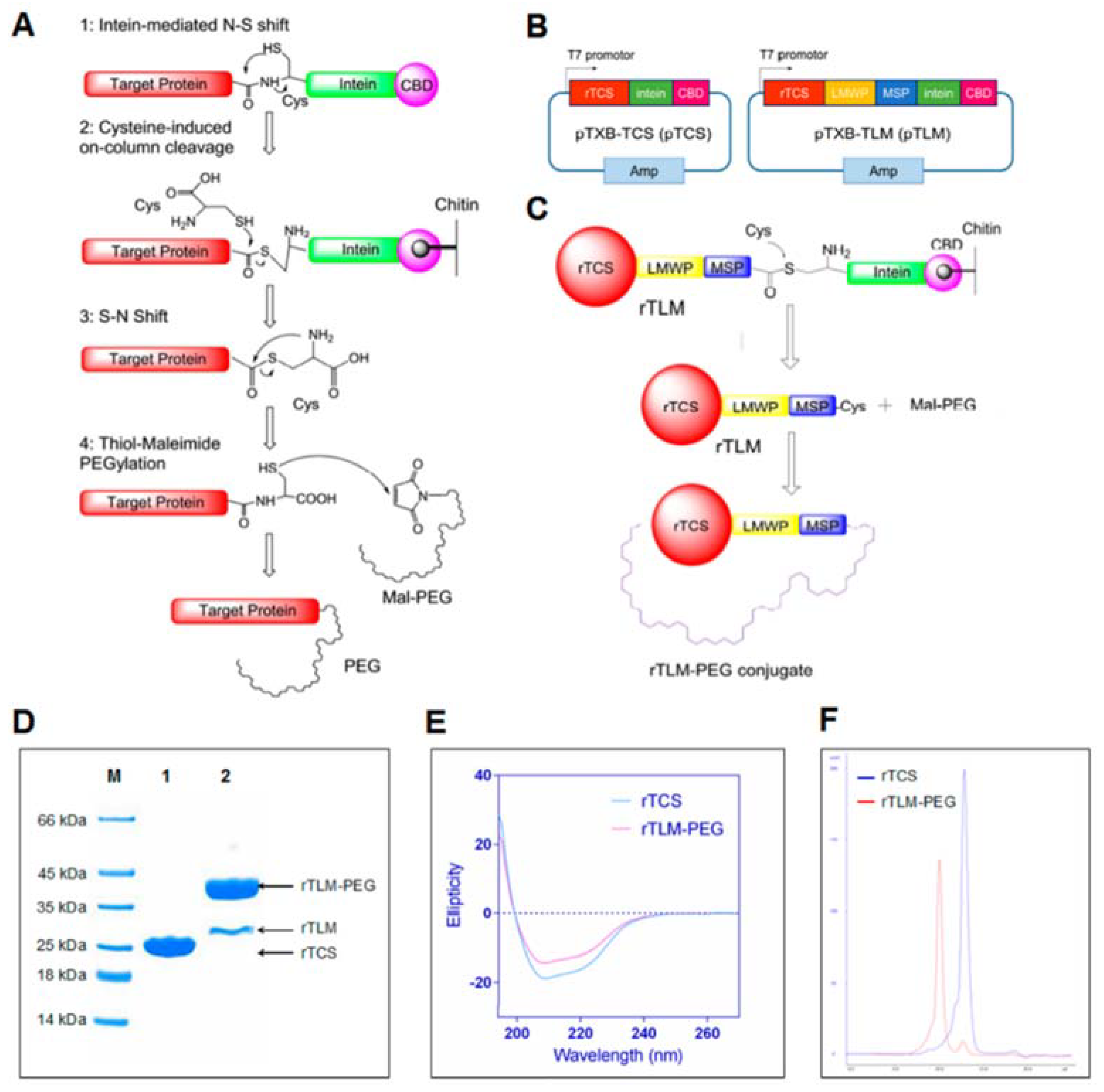 Molecules 27 03836 g002 Molecules 27 03836 g002