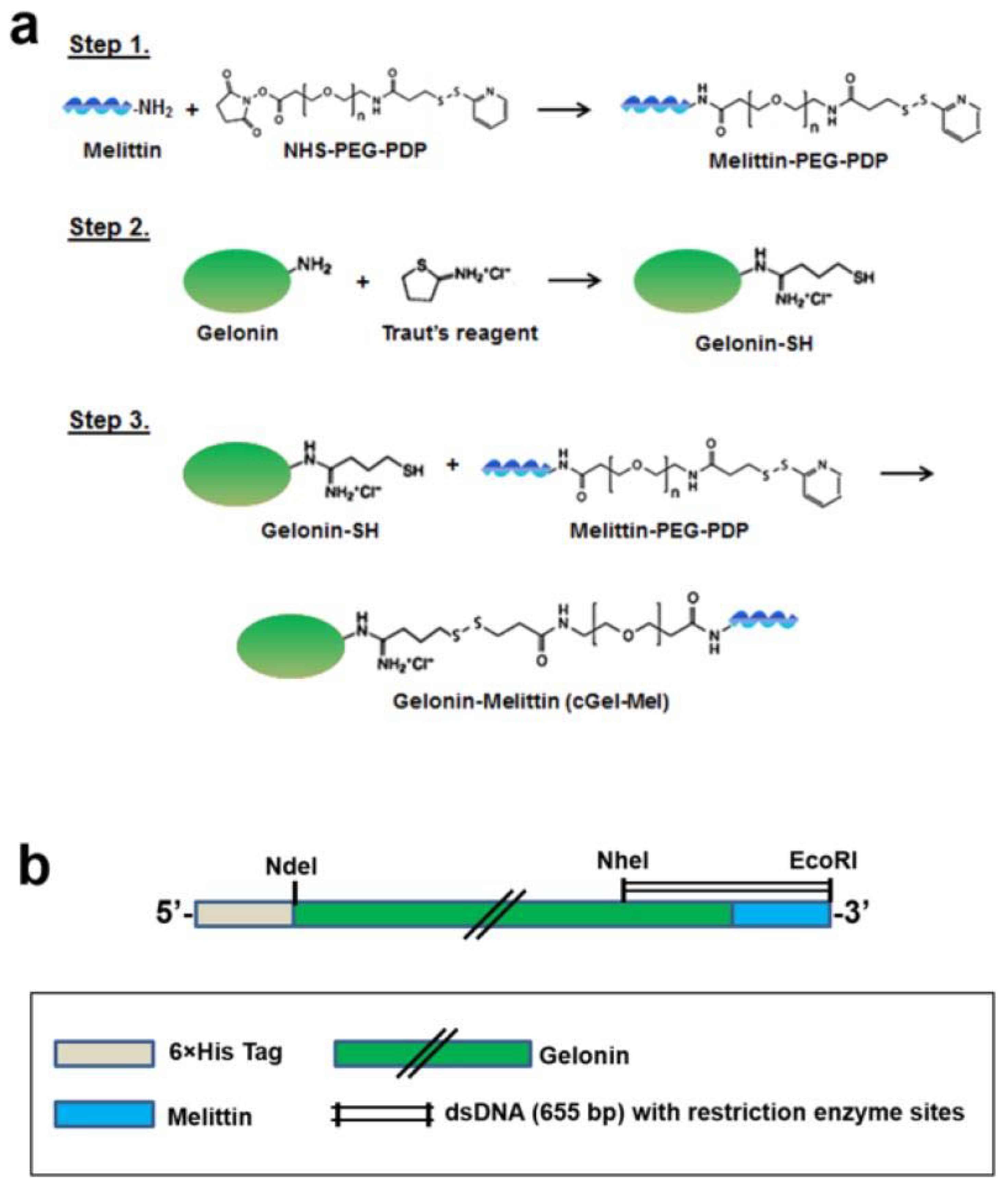 Molecules 27 03836 g003 Molecules 27 03836 g003