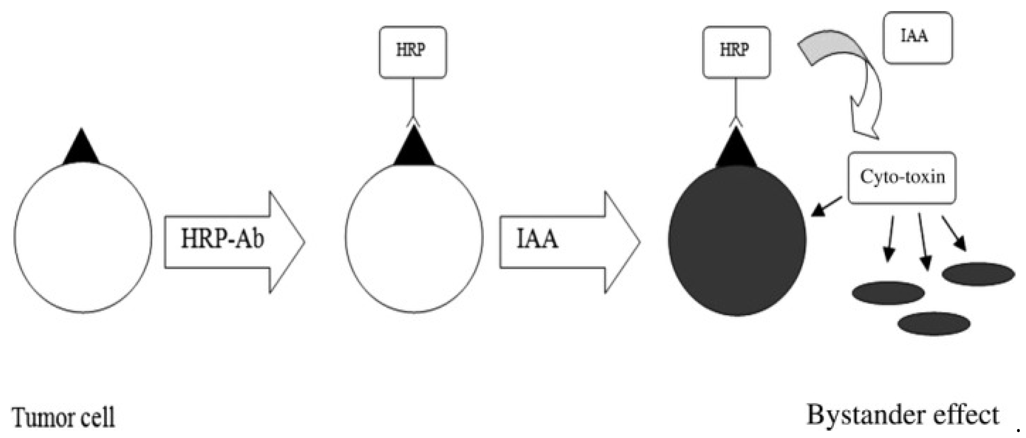 Molecules 27 03836 g004 Molecules 27 03836 g004