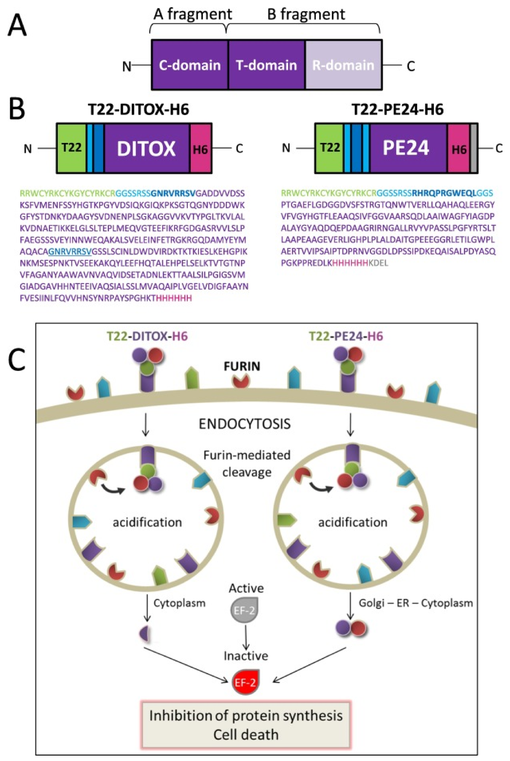 Molecules 27 03836 g008 Molecules 27 03836 g008