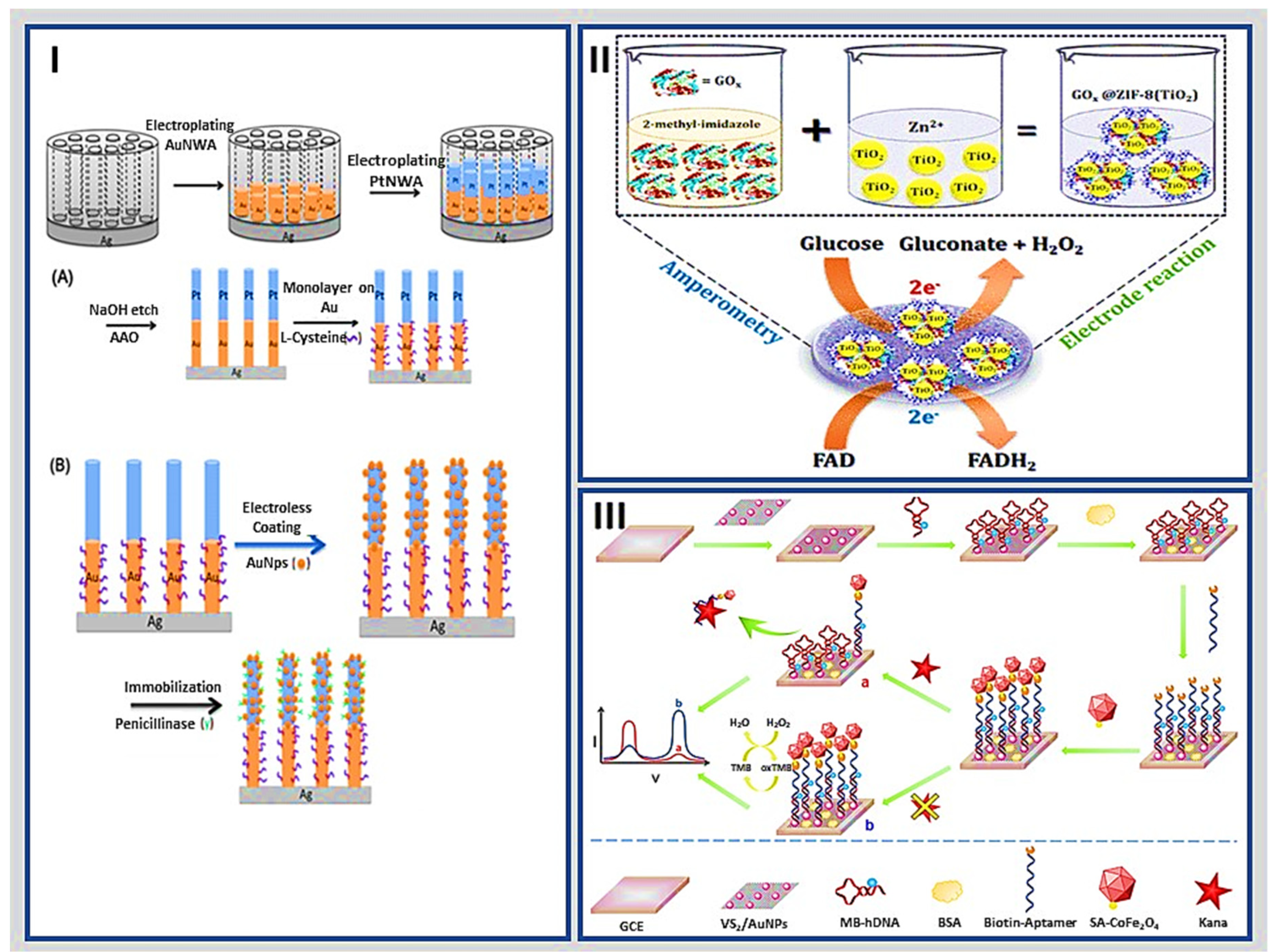 Molecules 27 03841 g001