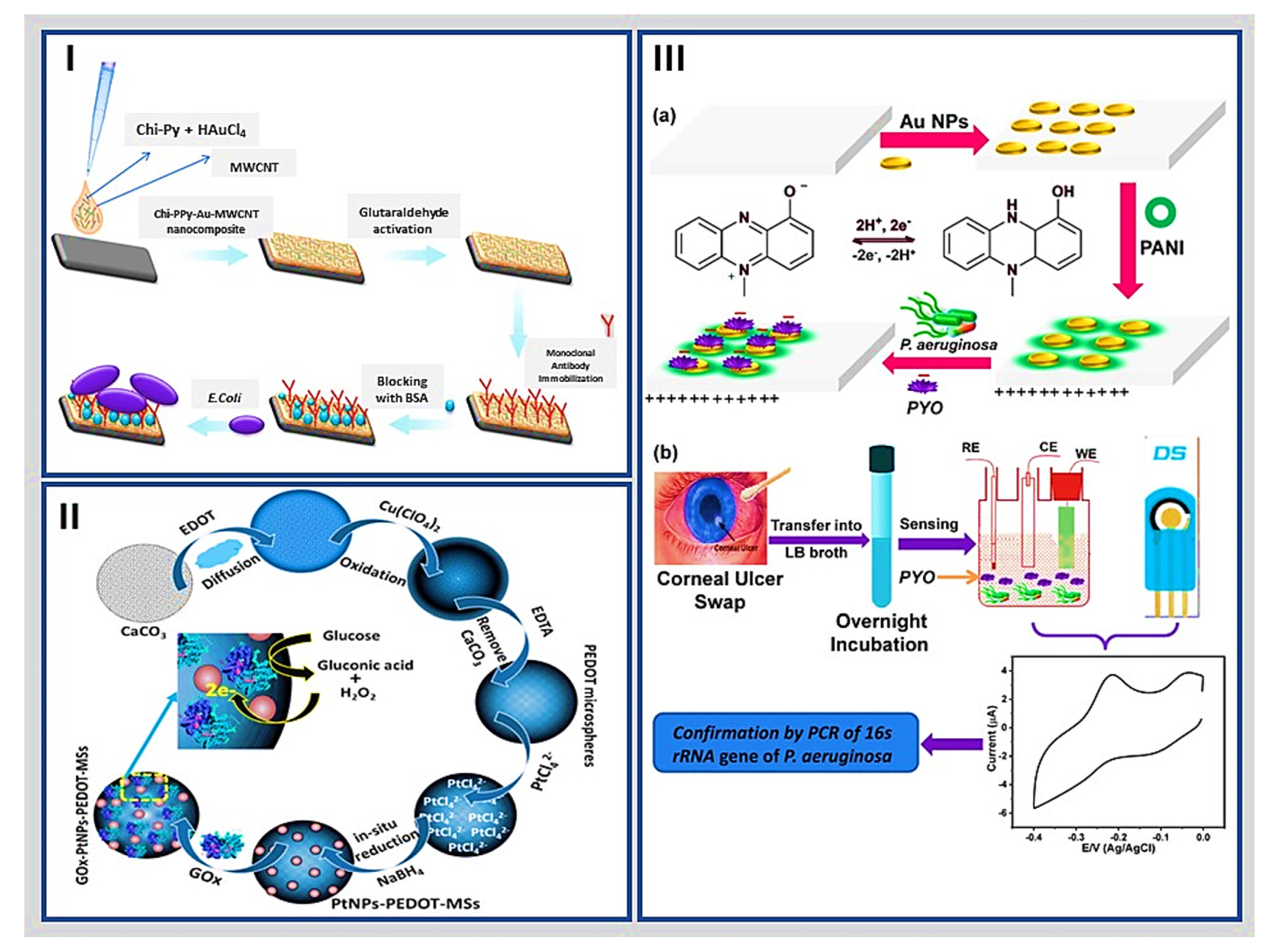 Molecules 27 03841 g004