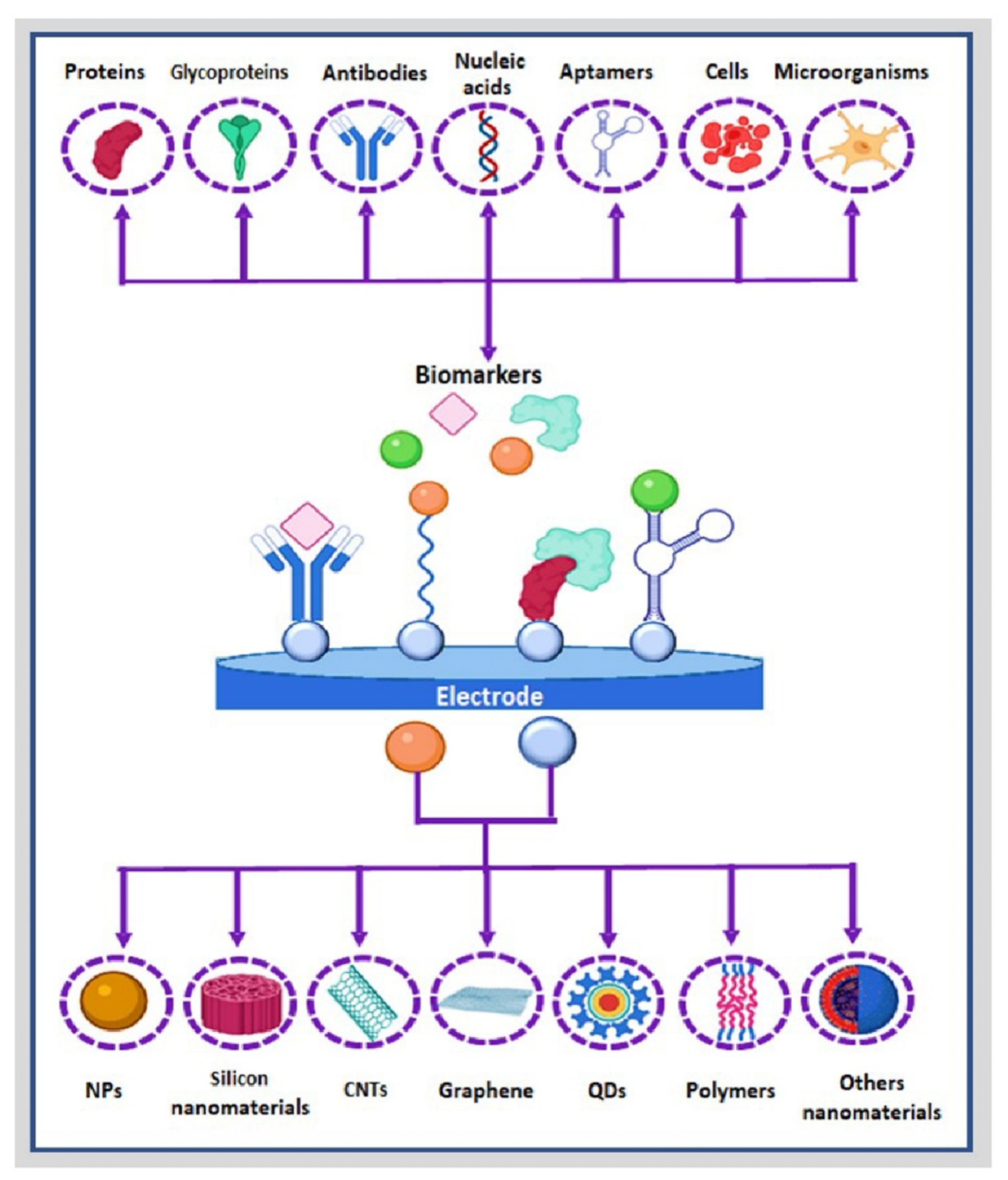 Molecules 27 03841 g005