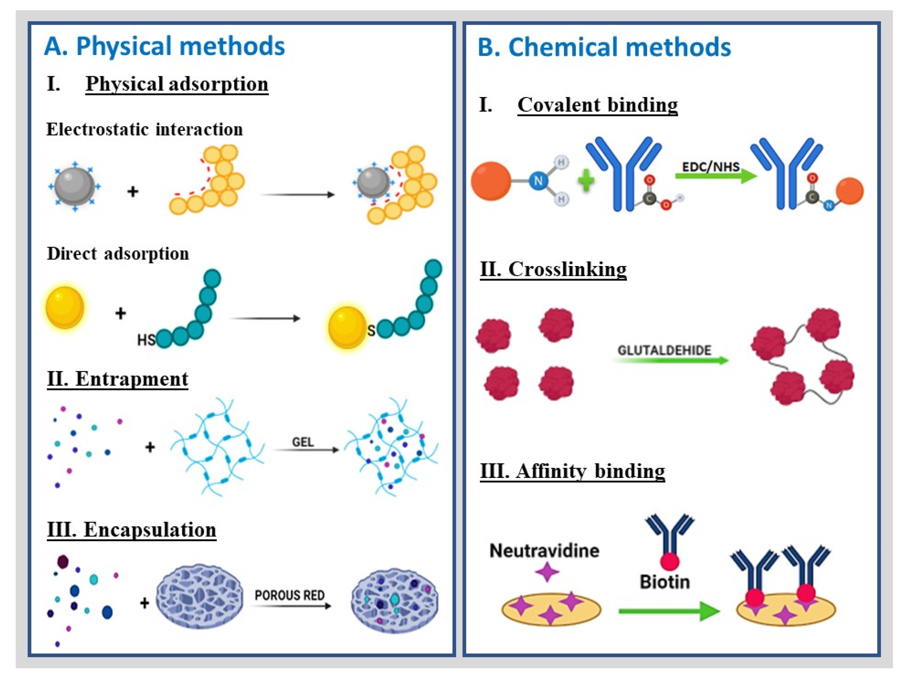 Molecules 27 03841 g006