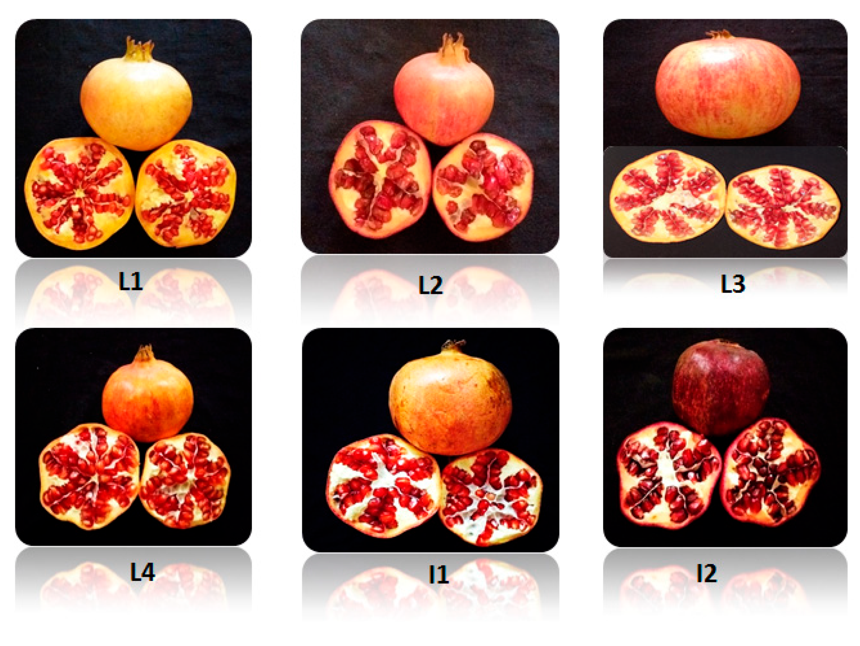 Molecules 27 03847 g001 550