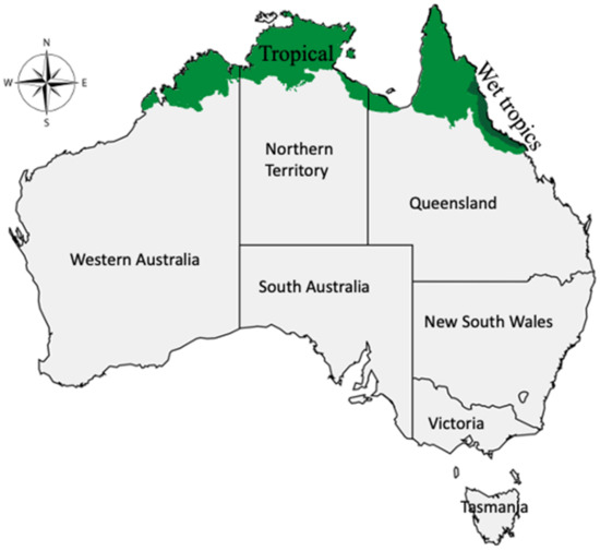 Indigenous Uses, Phytochemical Analysis, and Anti