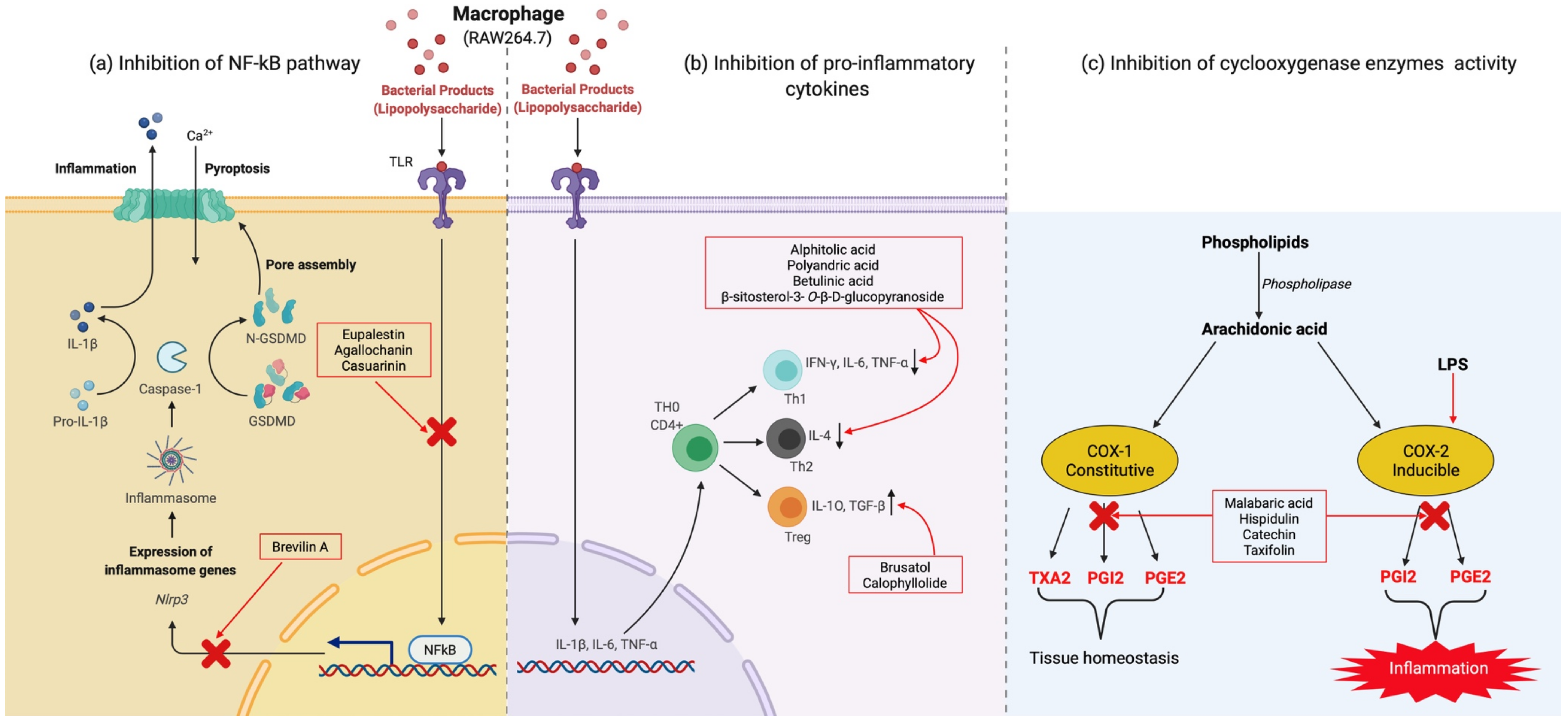 Molecules 27 03849 g004