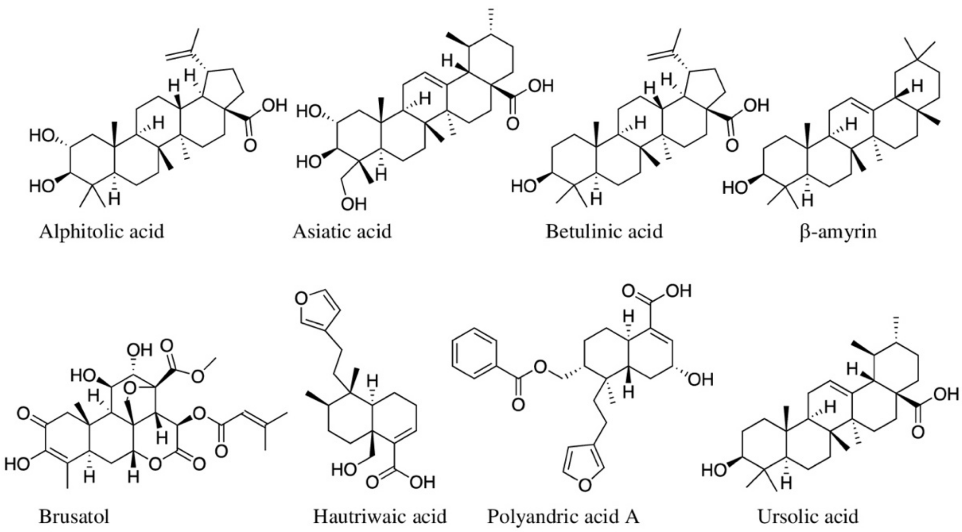 Molecules 27 03849 g005