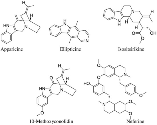 REI Indigenous Uses, Phytochemical Analysis, and Anti