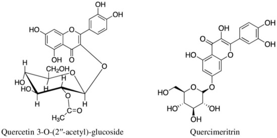 Indigenous Uses, Phytochemical Analysis, and Anti