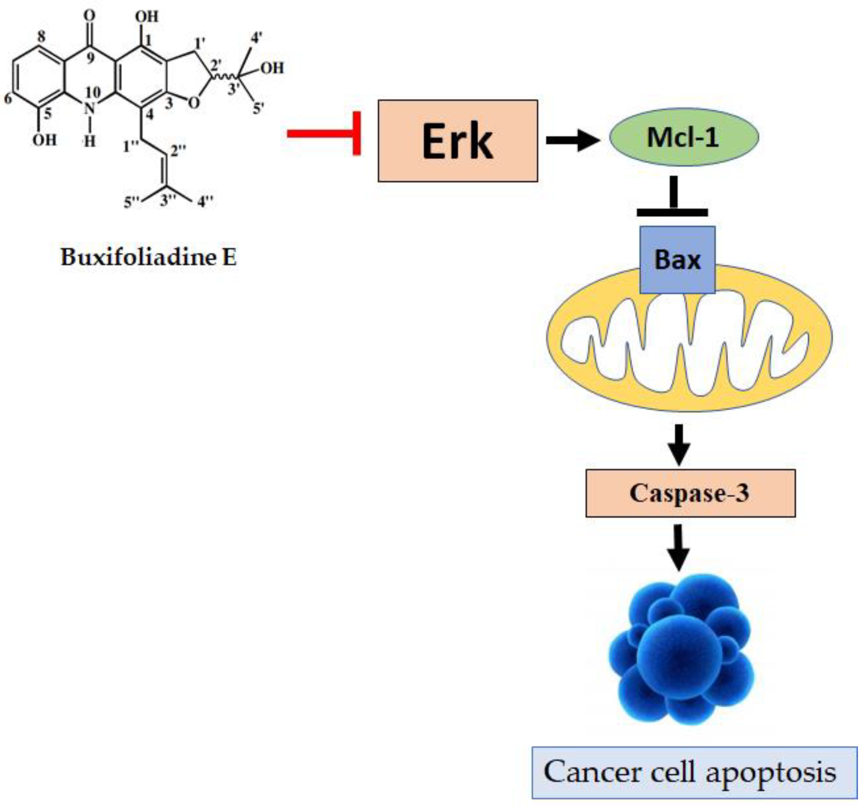 Molecules 27 03865 g013