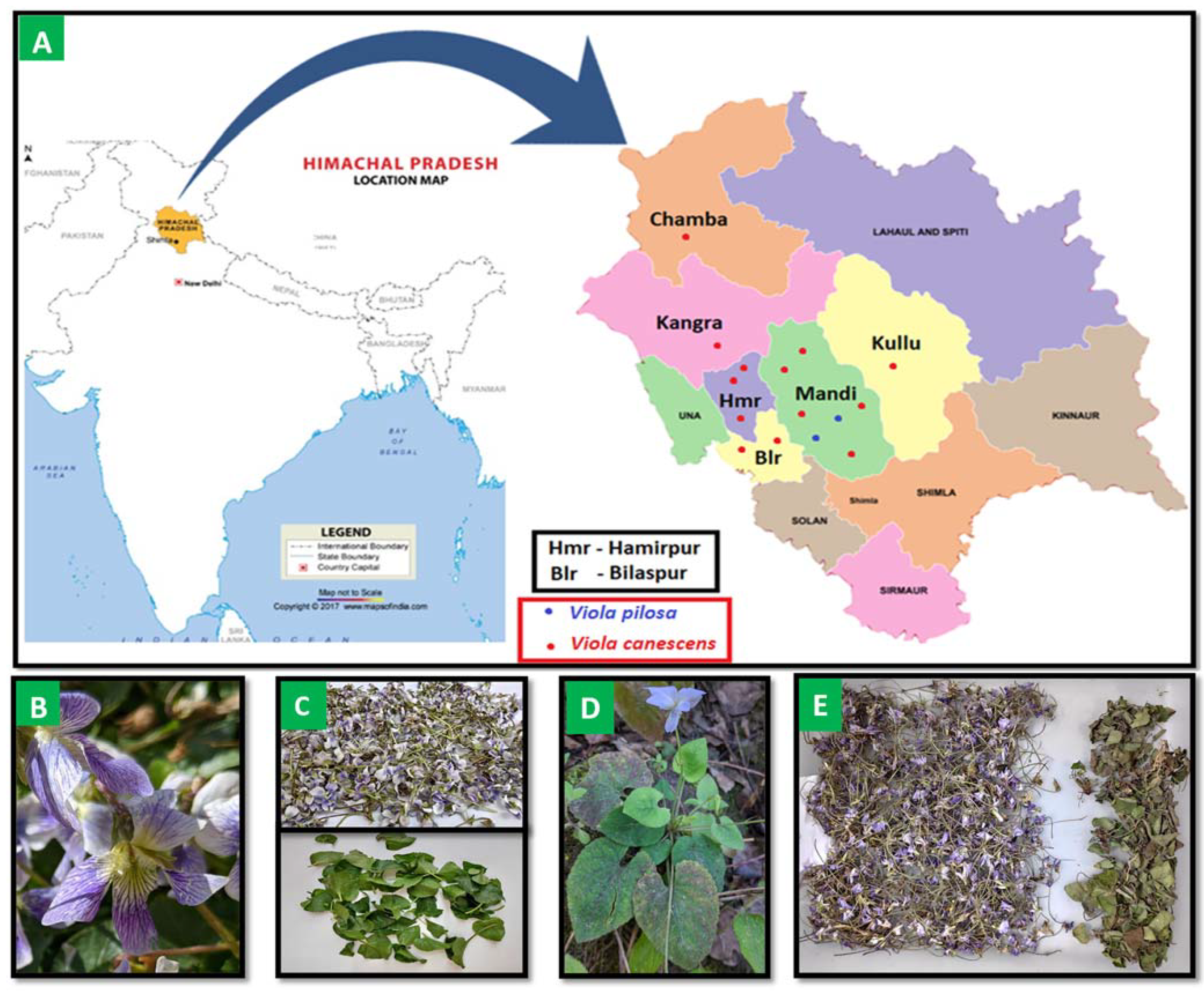 Molecules 27 03867 g001 550