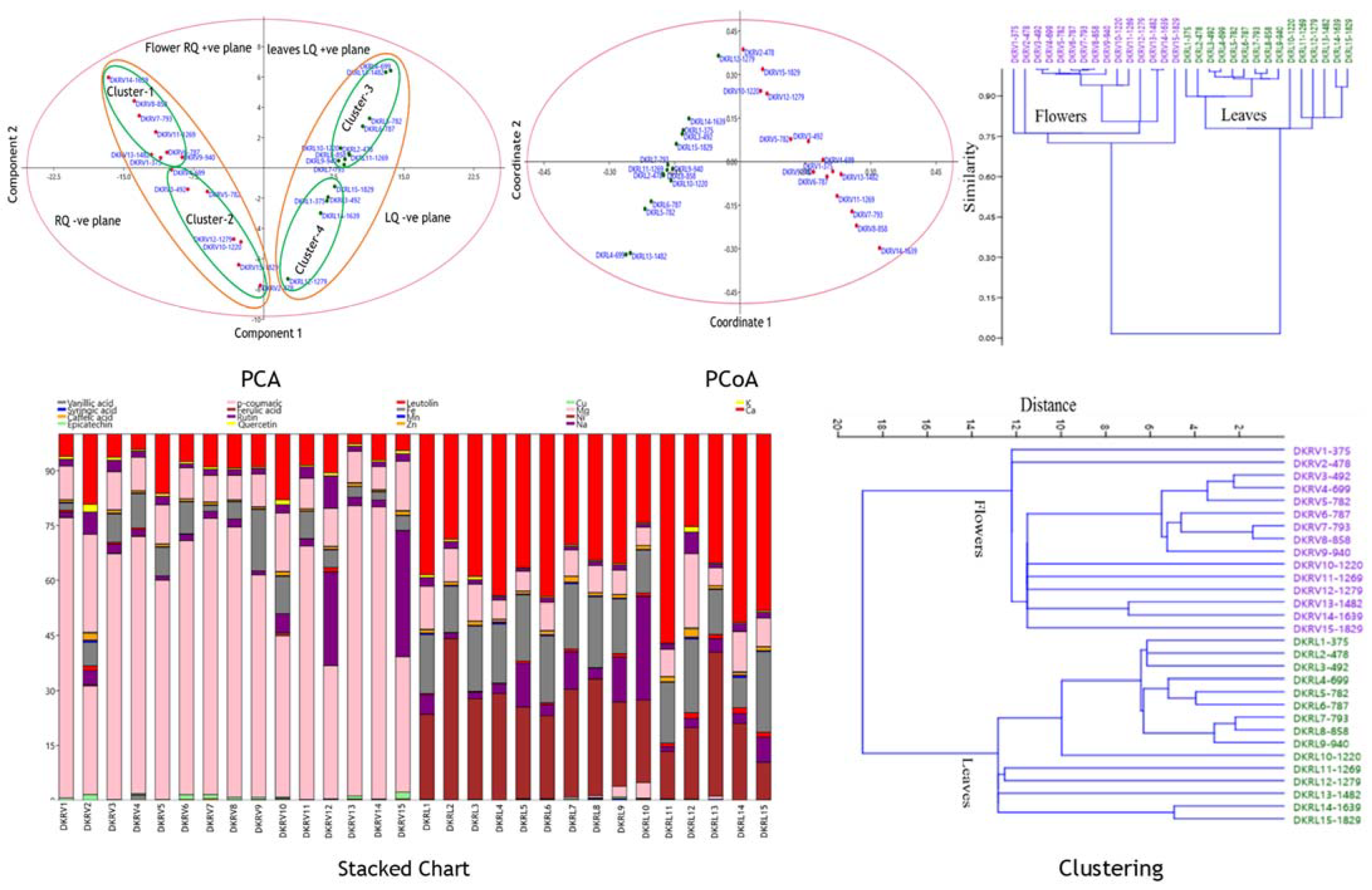 Molecules 27 03867 g006 550