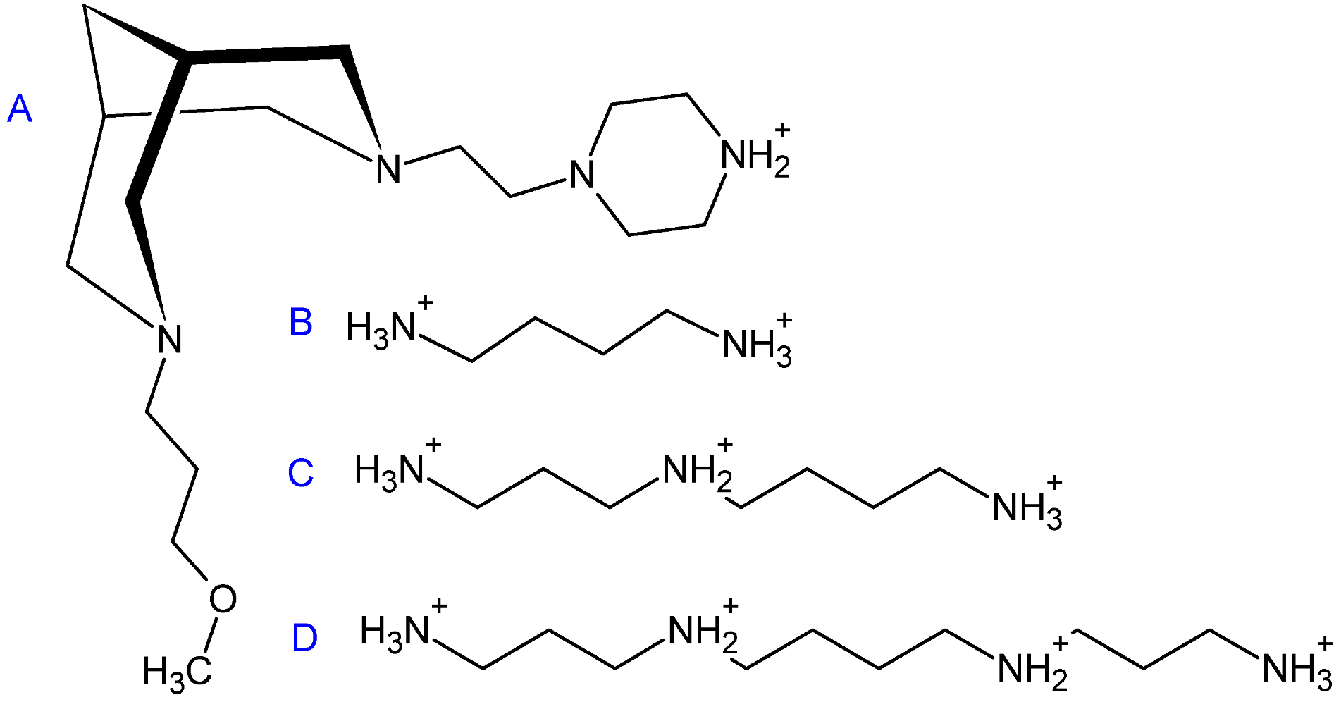 Molecules 27 03872 g006