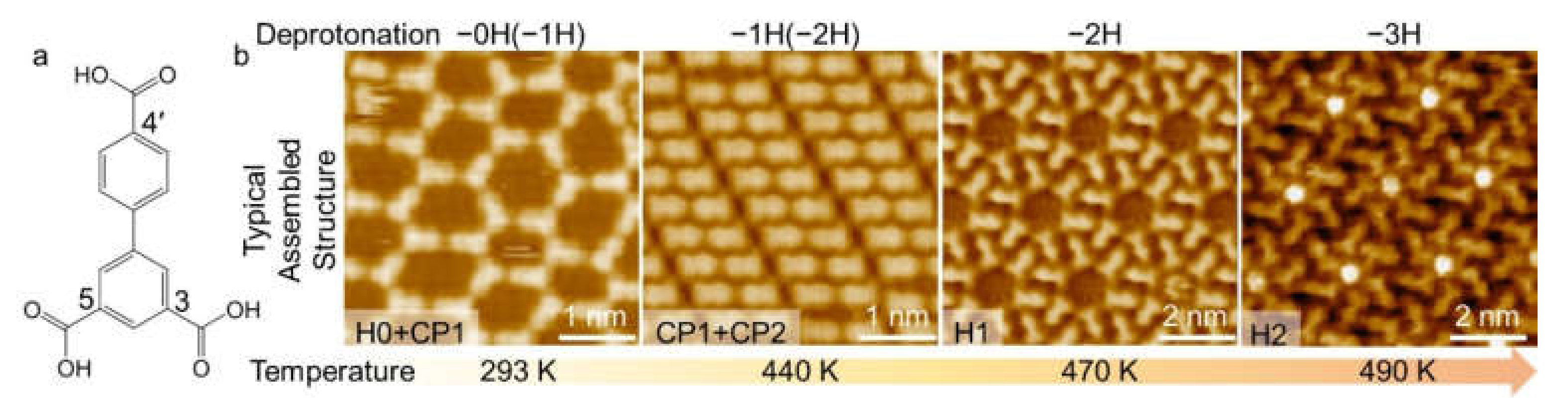 Molecules 27 03876 sch001