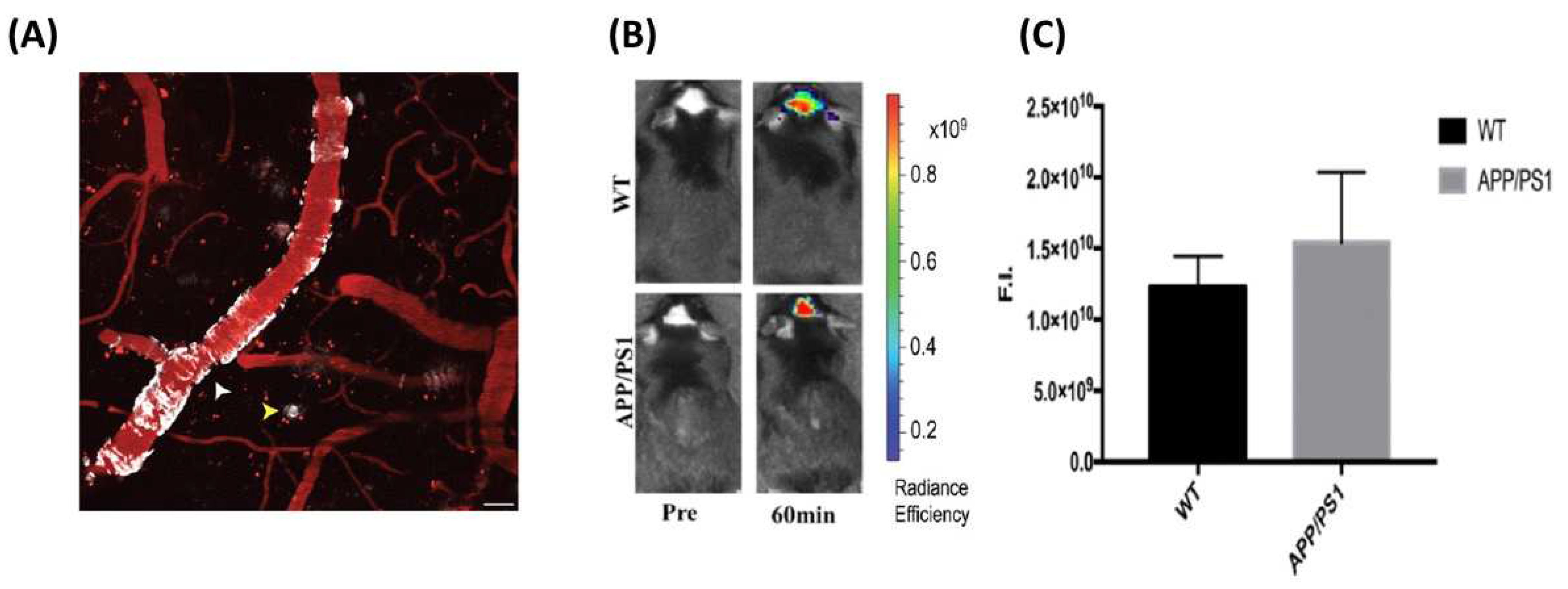 Molecules 27 03879 g006 Molecules 27 03879 g006