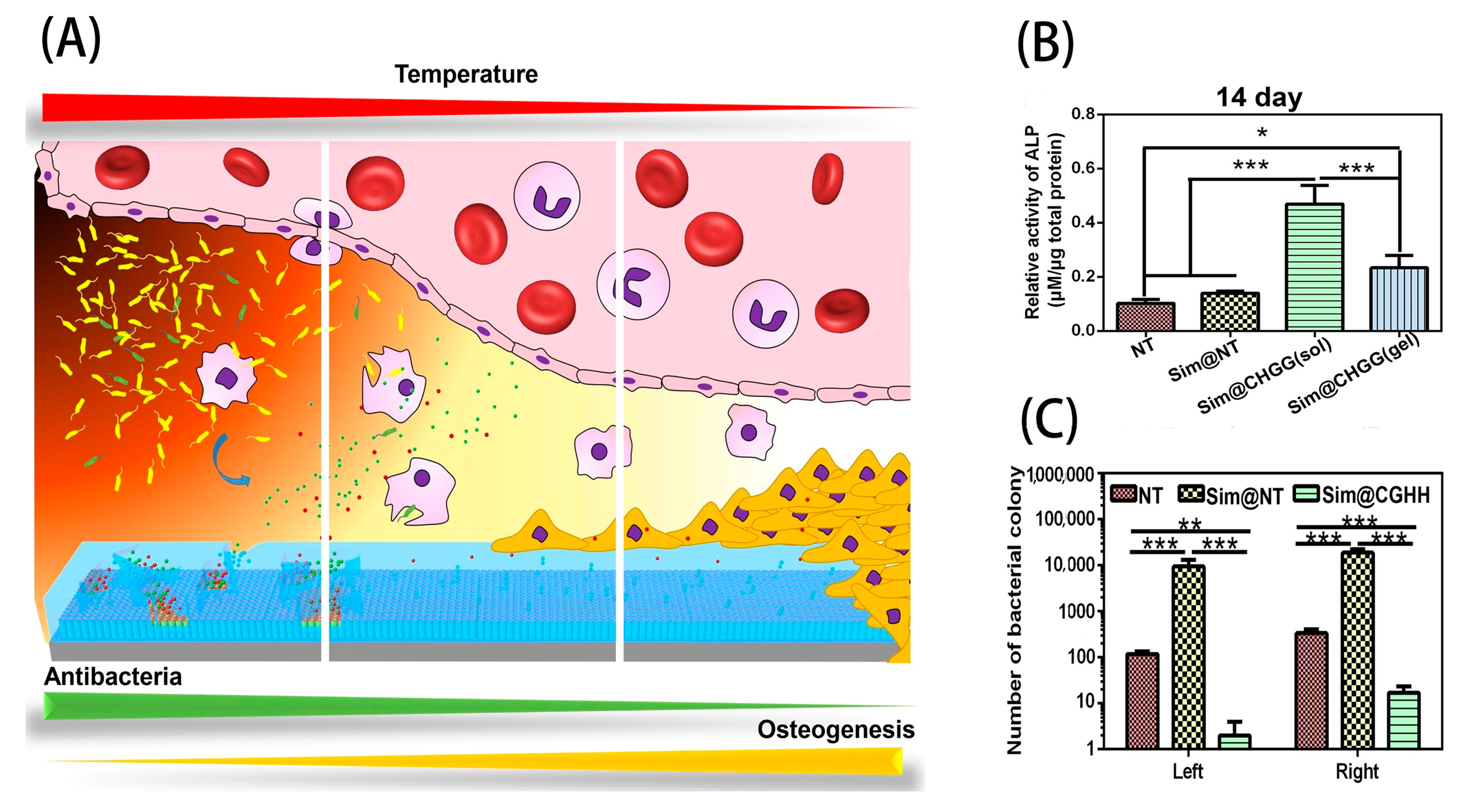 Molecules 27 03881 g002 Molecules 27 03881 g002