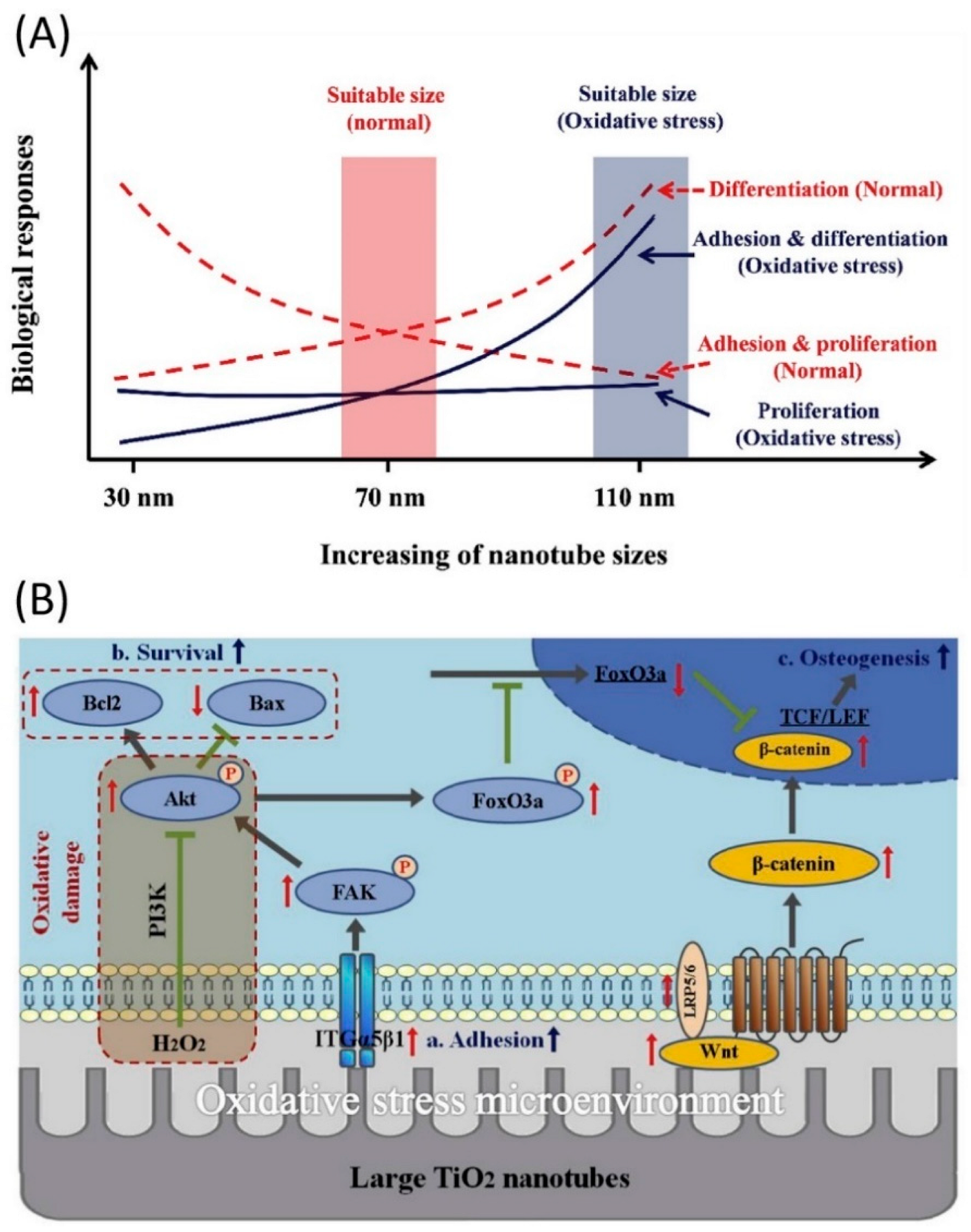 Molecules 27 03881 g003 Molecules 27 03881 g003